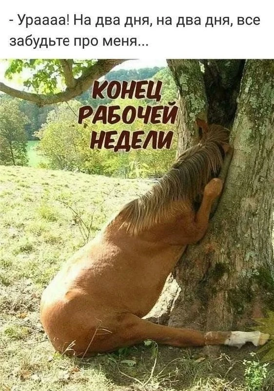Открытки: подписаться ❤️