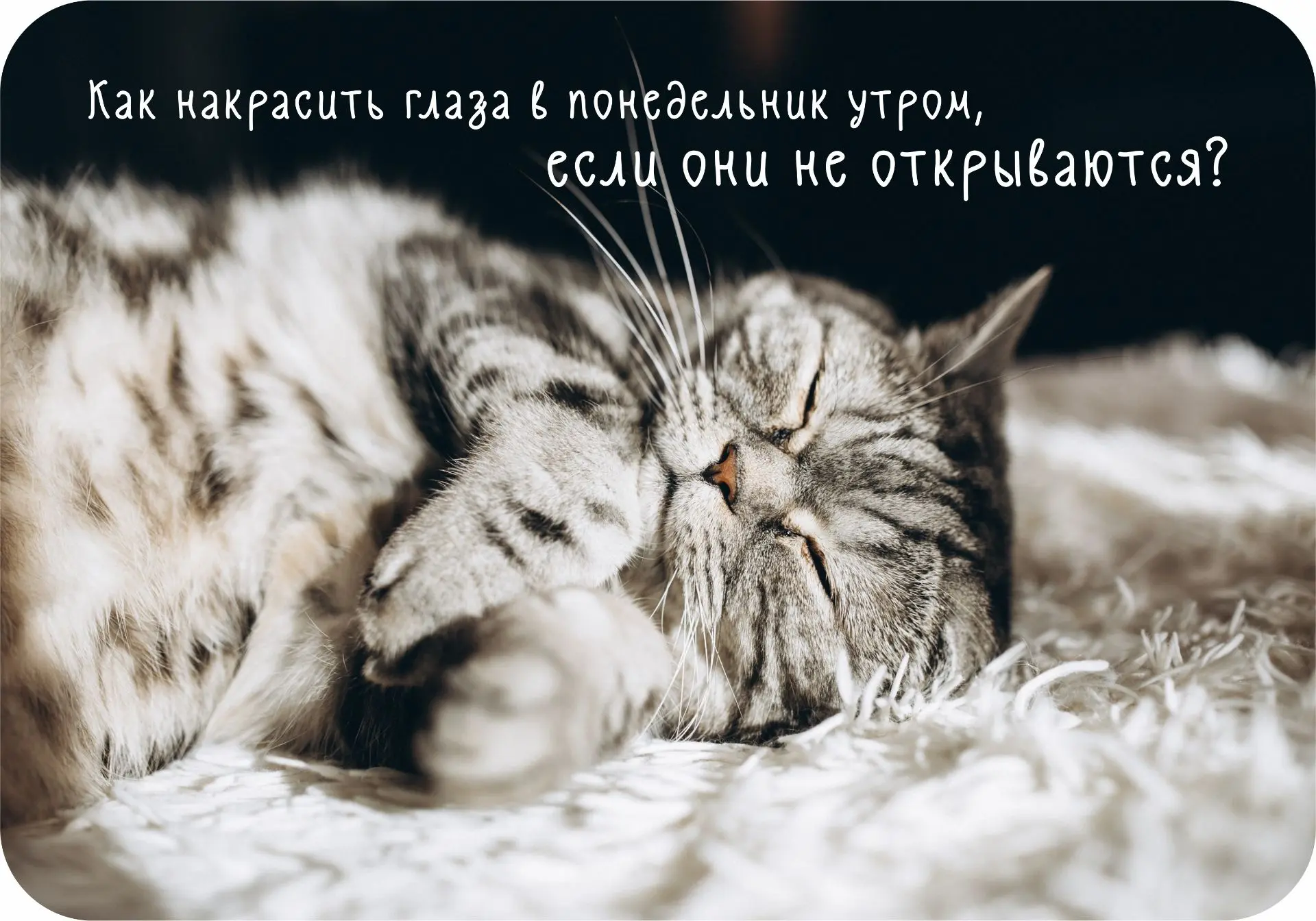 Доброе утро понедельника, друзья! 🥰