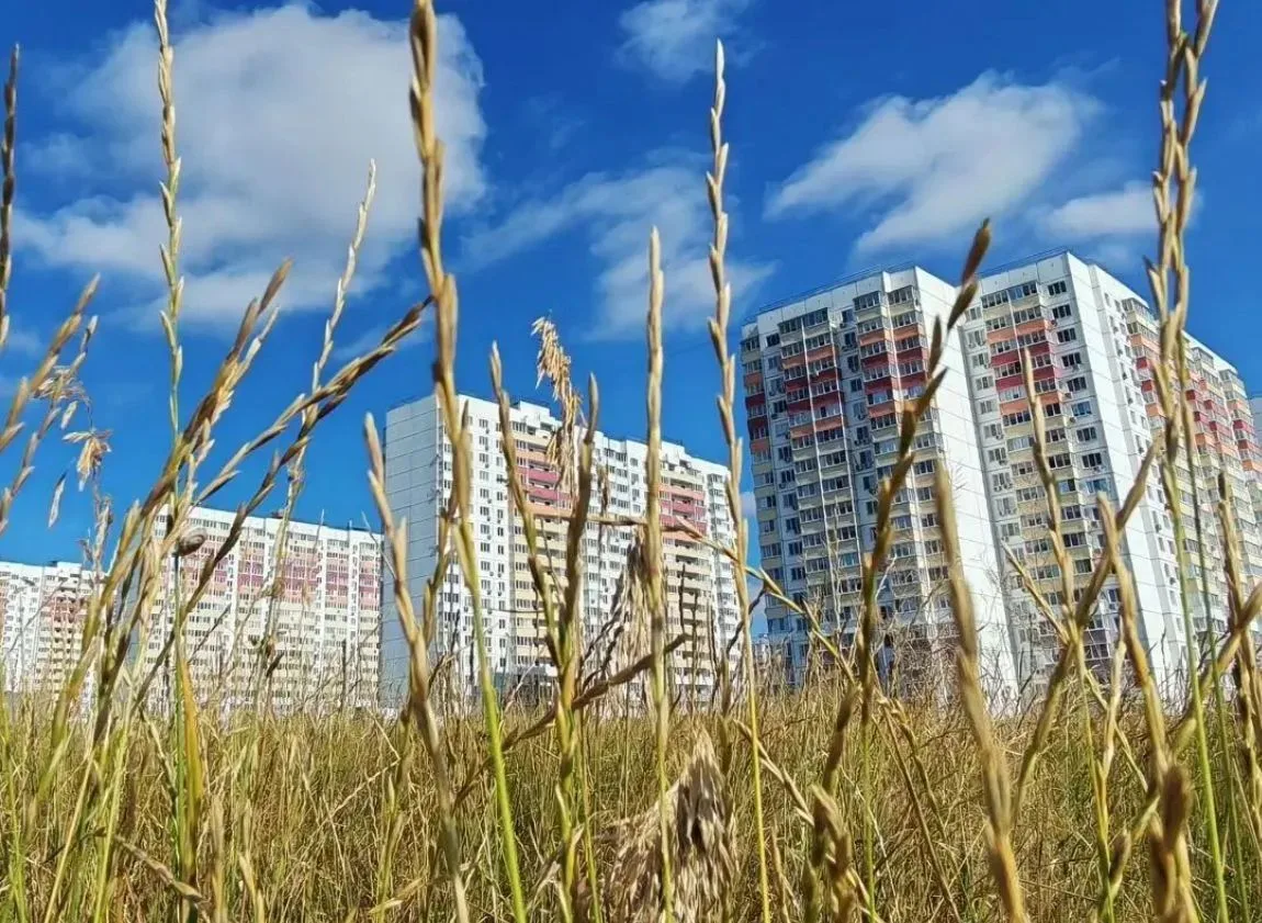 🏢 Аренда квартир без посредников в Краснодаре и области.