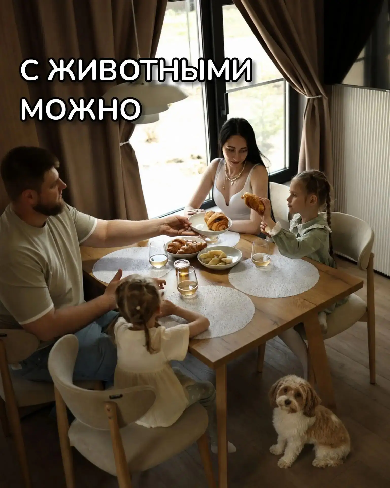 Нам часто пишут: «Можно ли с собакой?»