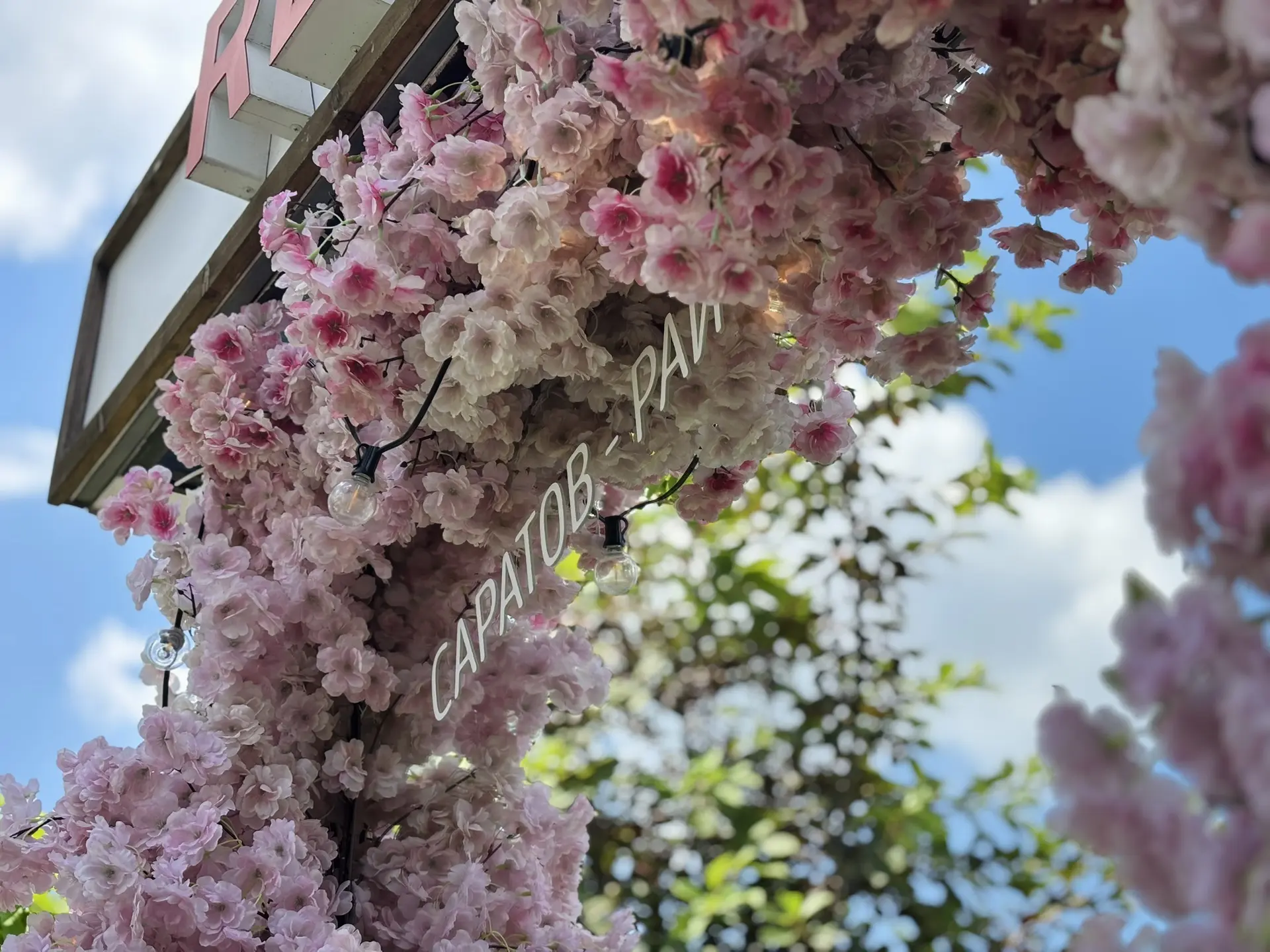 🌼Лето в нашем районе — это не только тёплая погода! 

Предприниматели украшают входные группы ярким