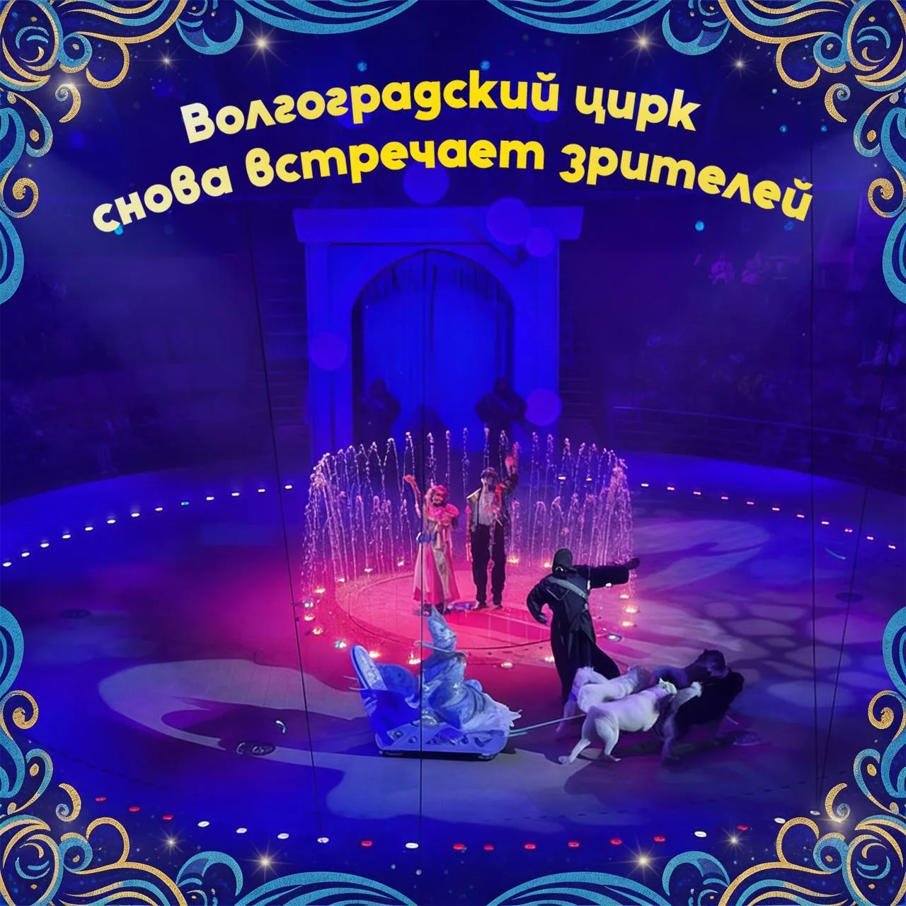 🎪 Волгоградский цирк снова встречает зрителей!

Заместитель Председателя Правительства РФ Марат Хус