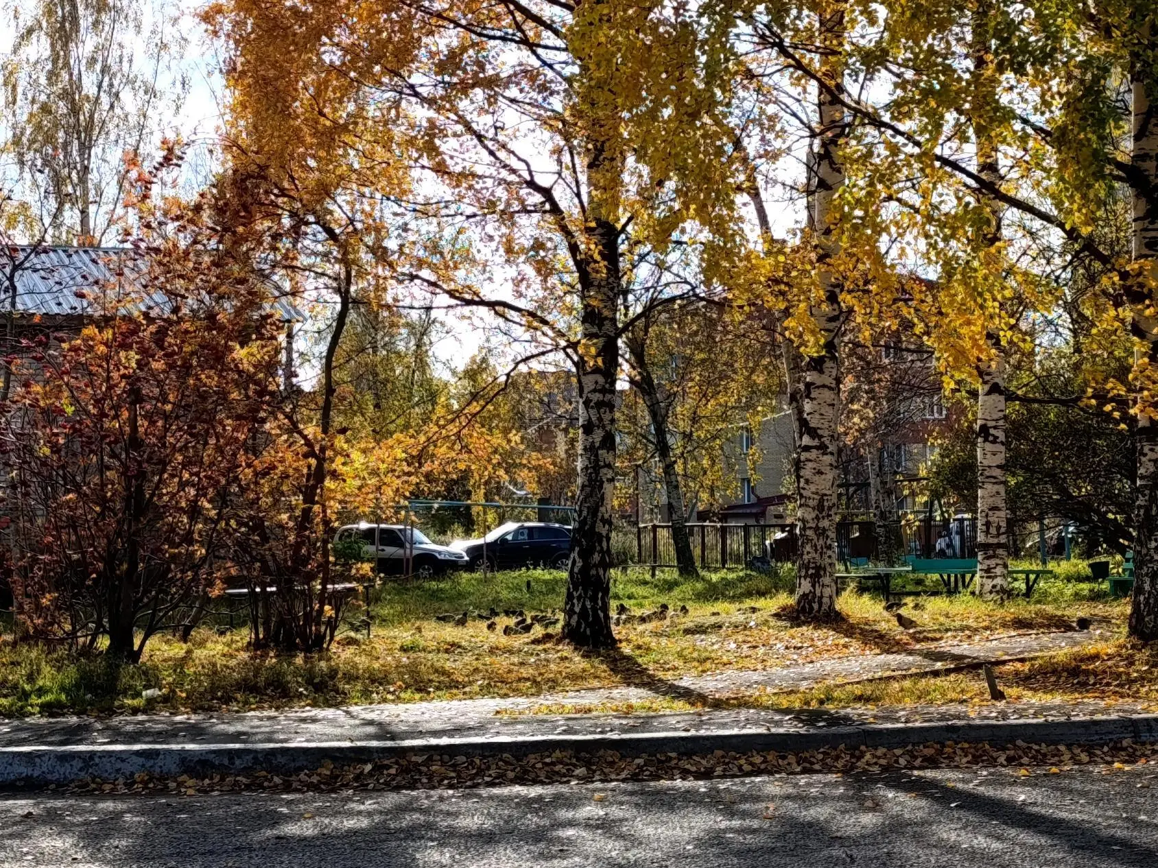 5 октября в Архангельской области будет пасмурно