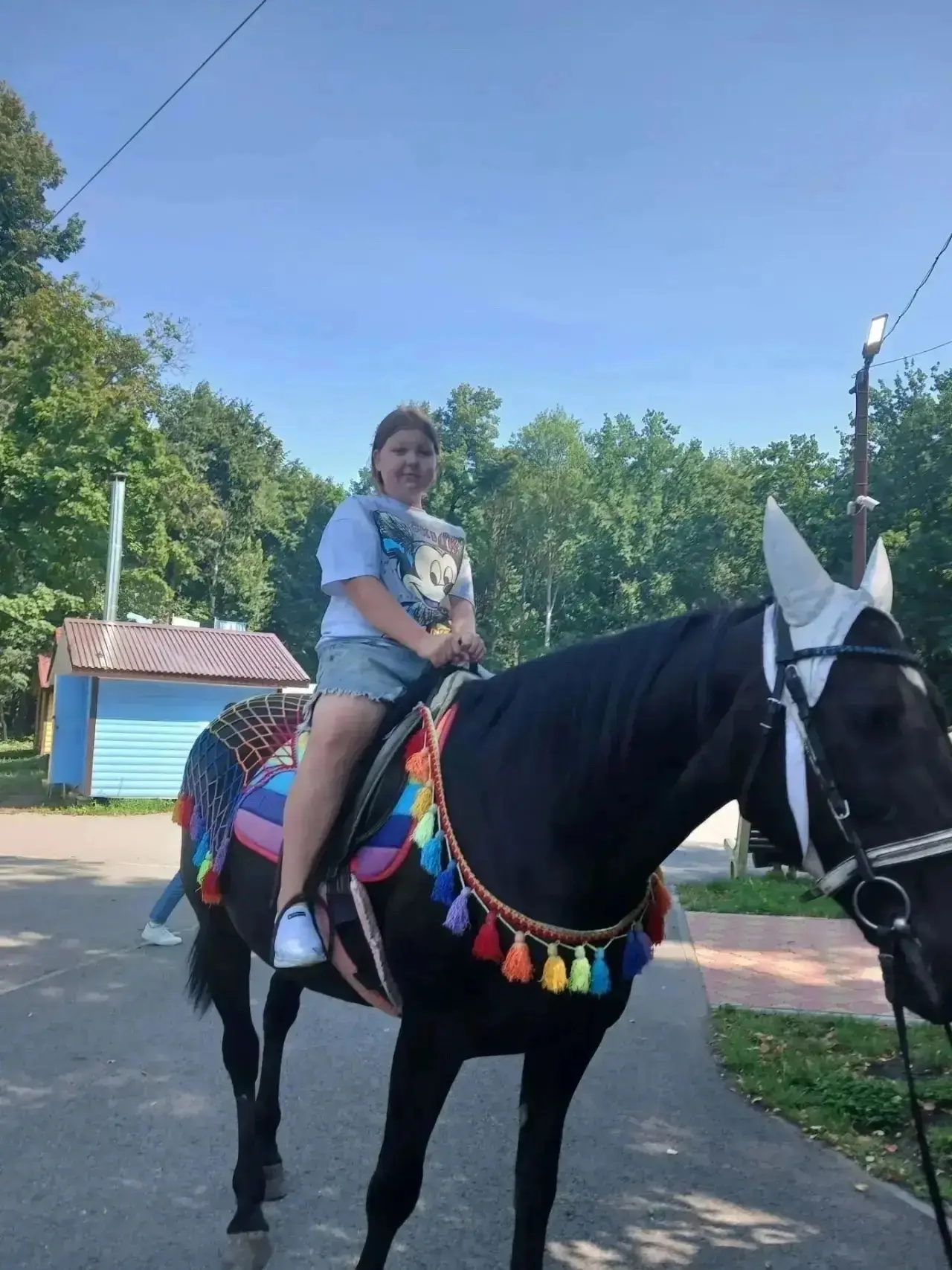☀️ Август -> Сентябрь.