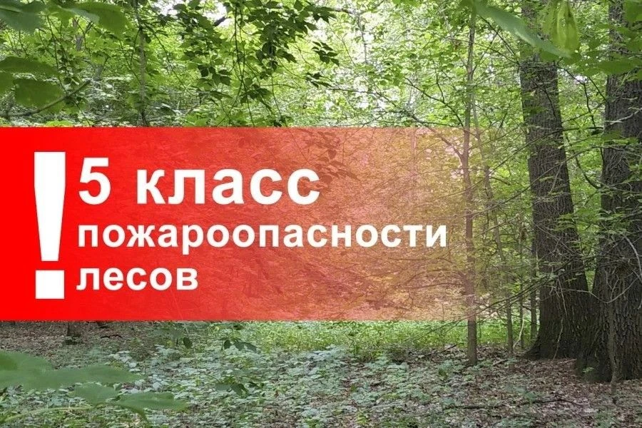 В Балтачевском районе прогнозируется 5 класс пожароопасности