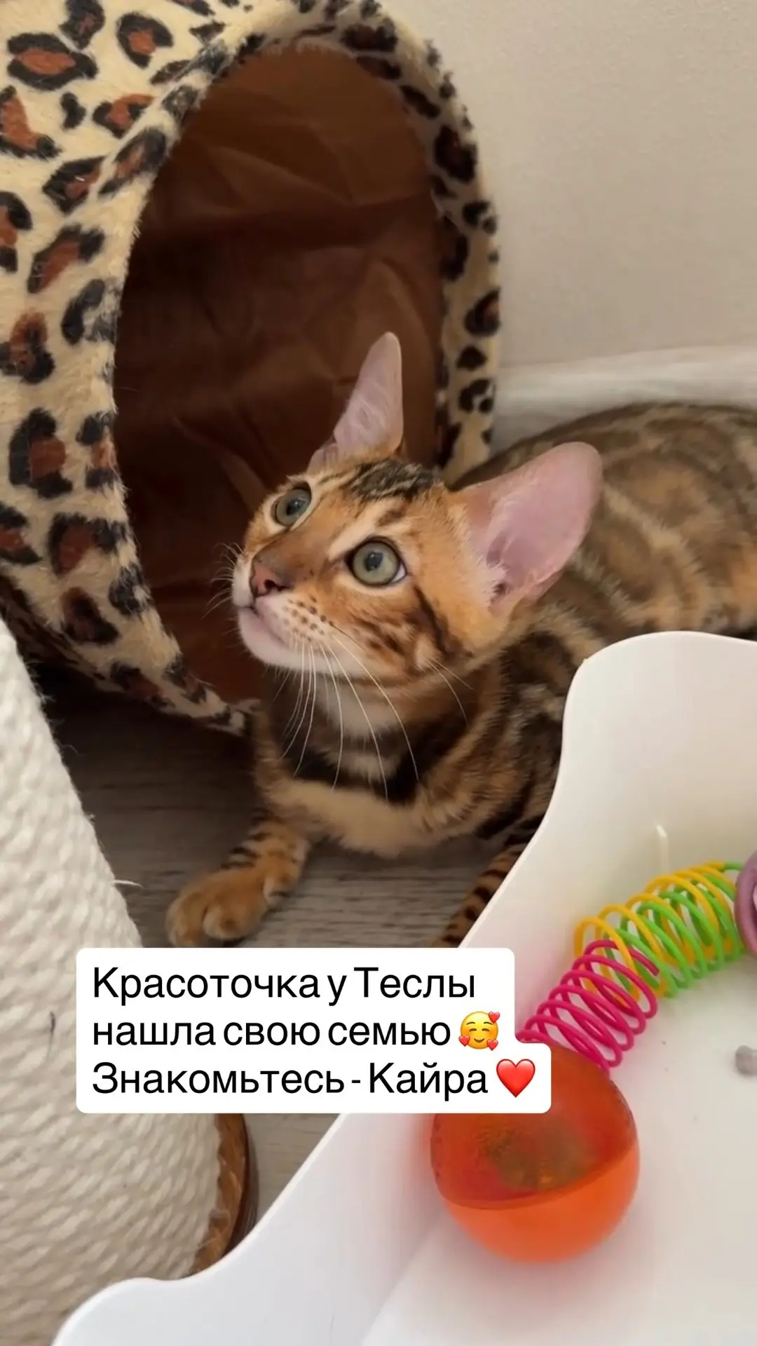 Малышка Кайра 💖