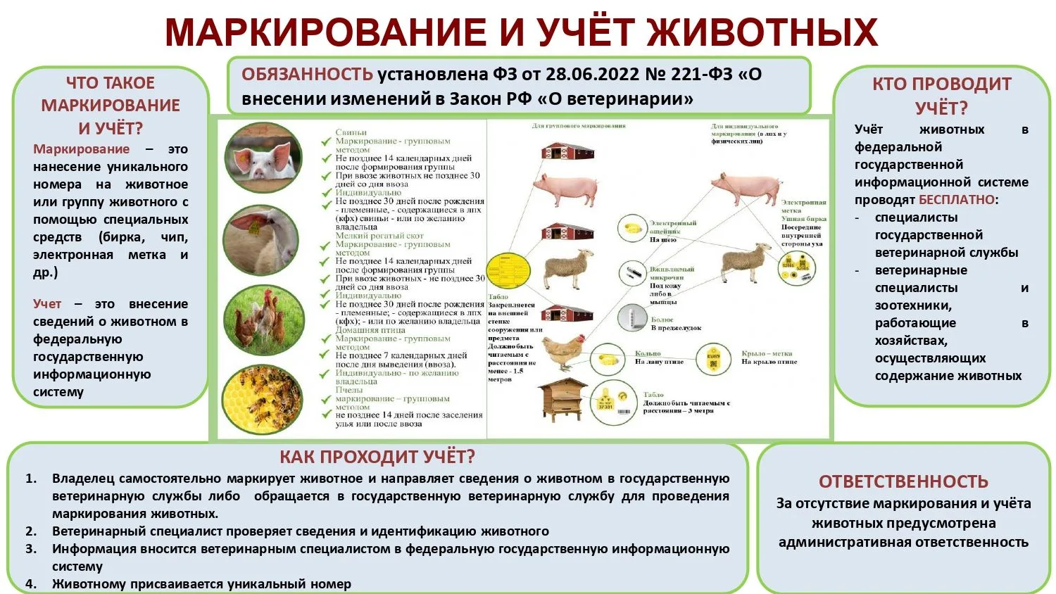Маркирование и учет животных