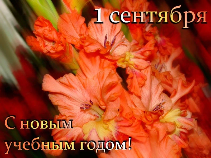 1 Сентября в колледже прошла торжественная линейка, посвященная Дню знаний. Праздник об...