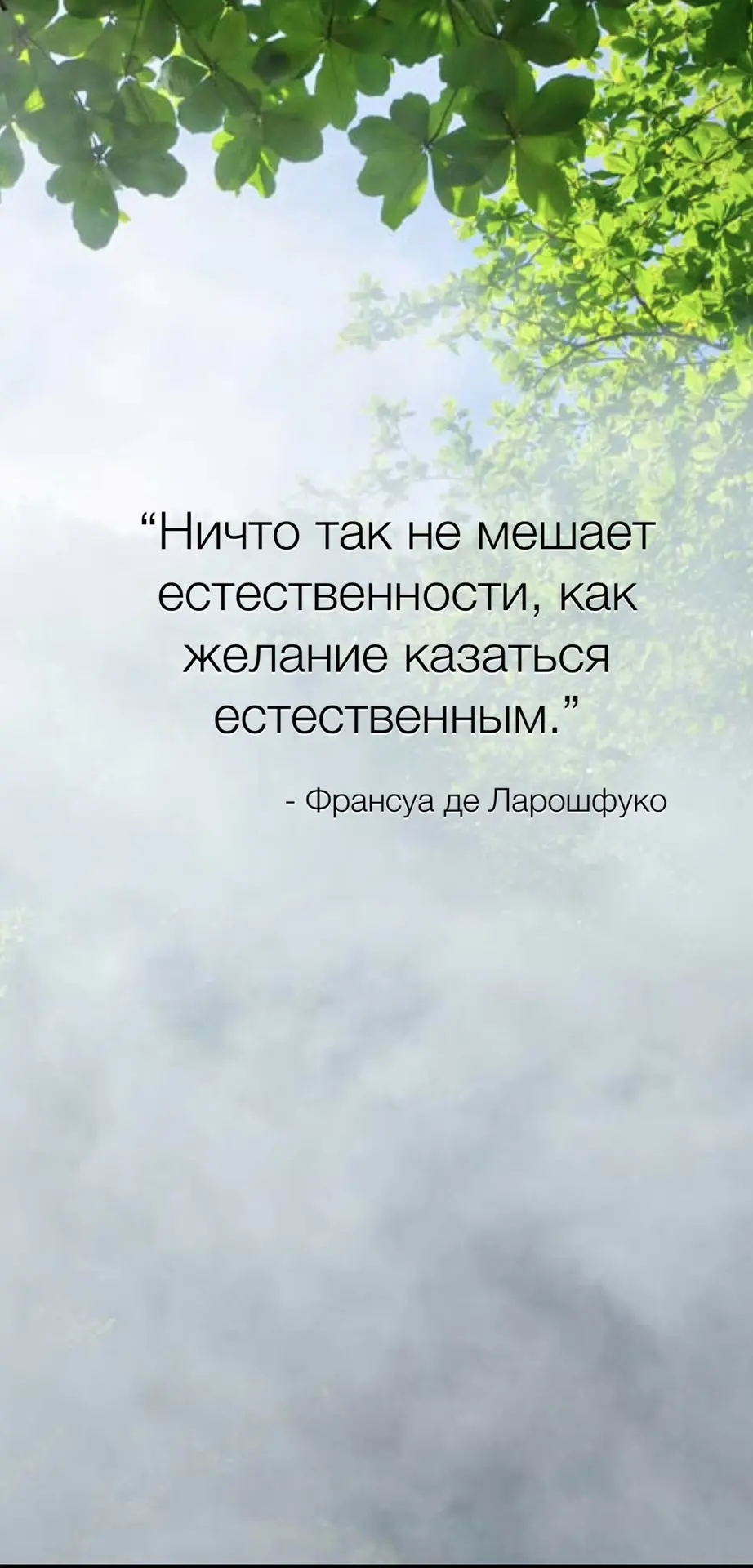 #цитатадня