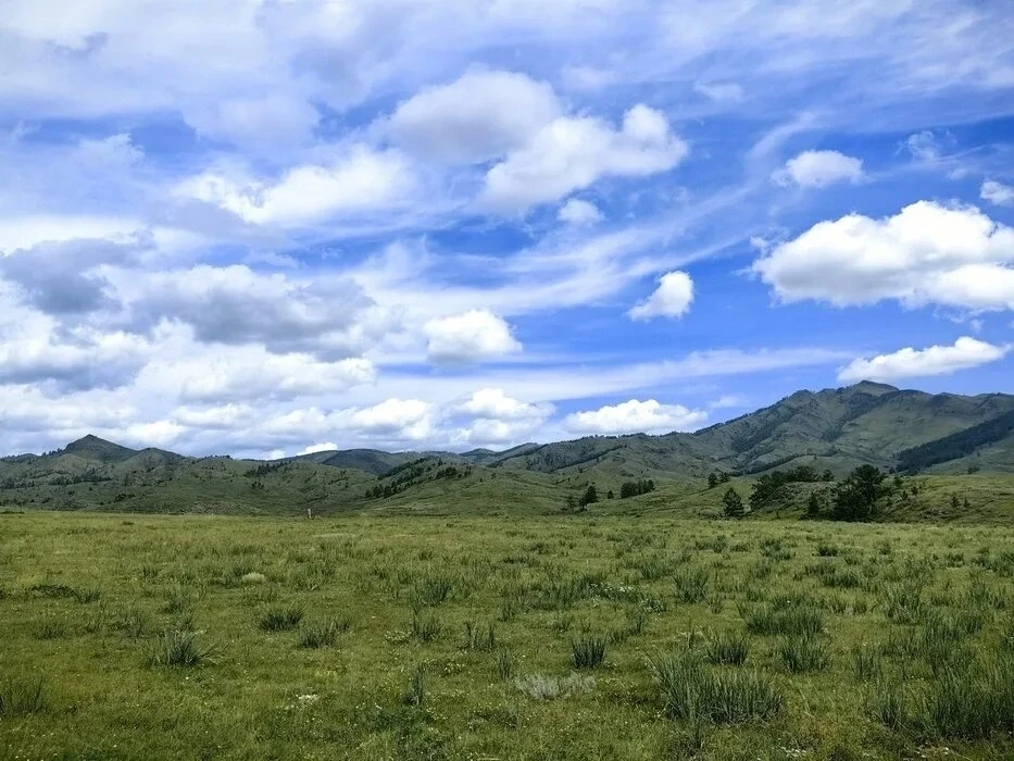 Отличного дня, Хакасия 💚