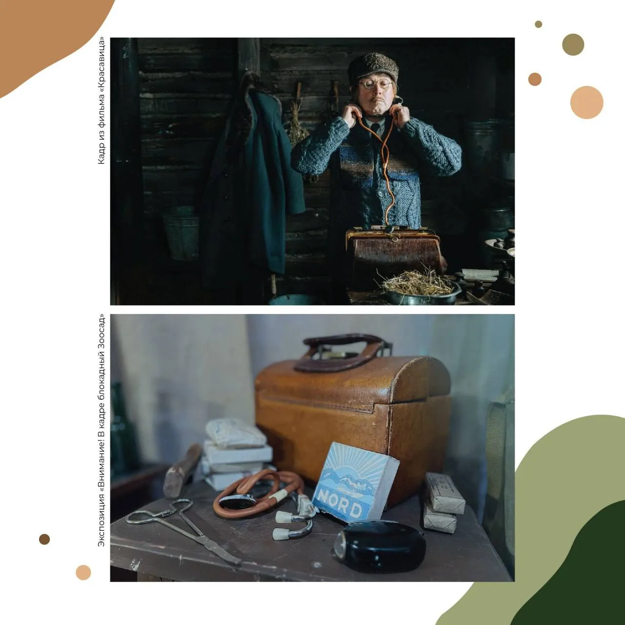 Это реальные декорации из фильма «Красавица»?🎞🦛  Отвечаем: «Да, и это легко проверить!».  🎬На выстав