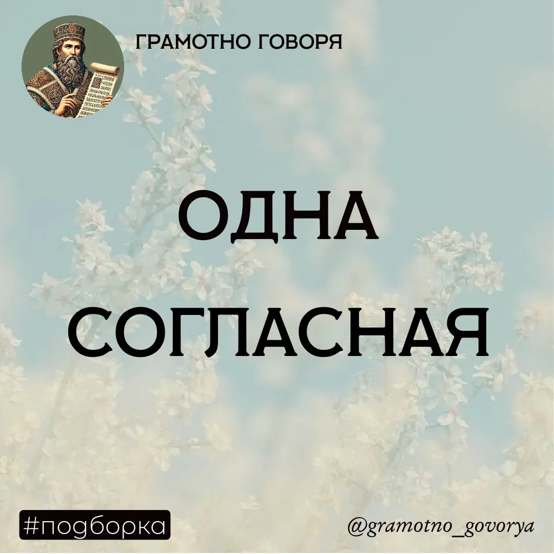 Подборка слов, в которых нет удвоенной согласной, но многие её там пишут

❌хуммус 
✅хумус 

❌цуккини
