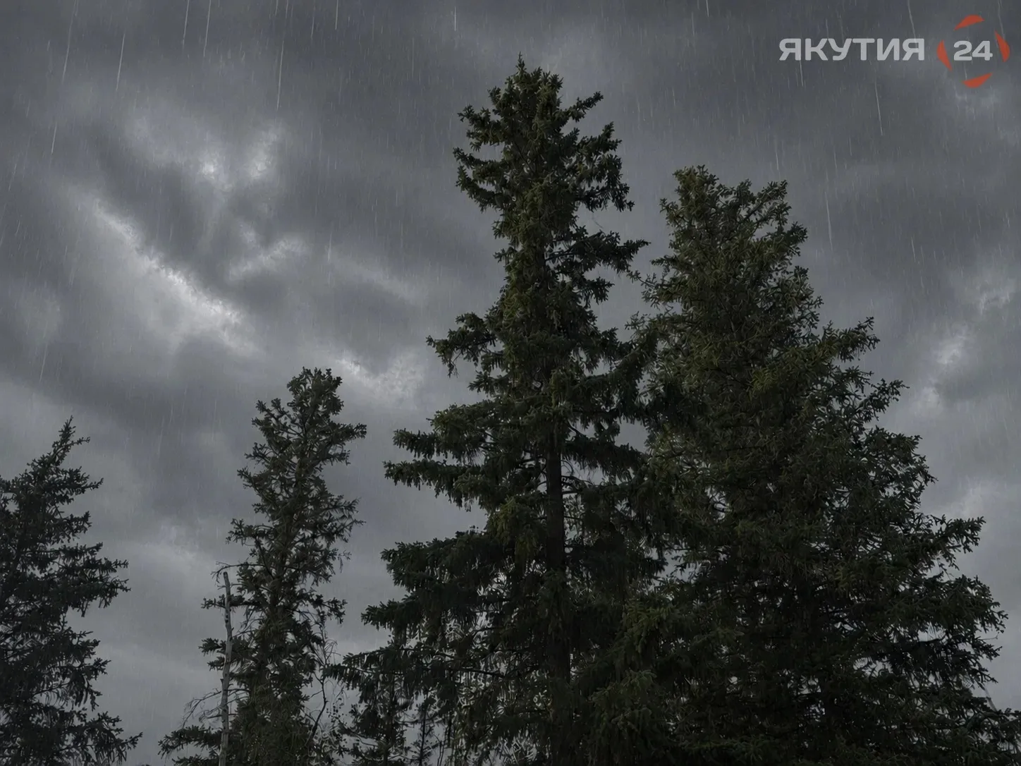 ⛈Дожди, грозы и дым: погода в Якутии 31 июля

Синоптики прогнозируют умеренные дожди на арктическом 
