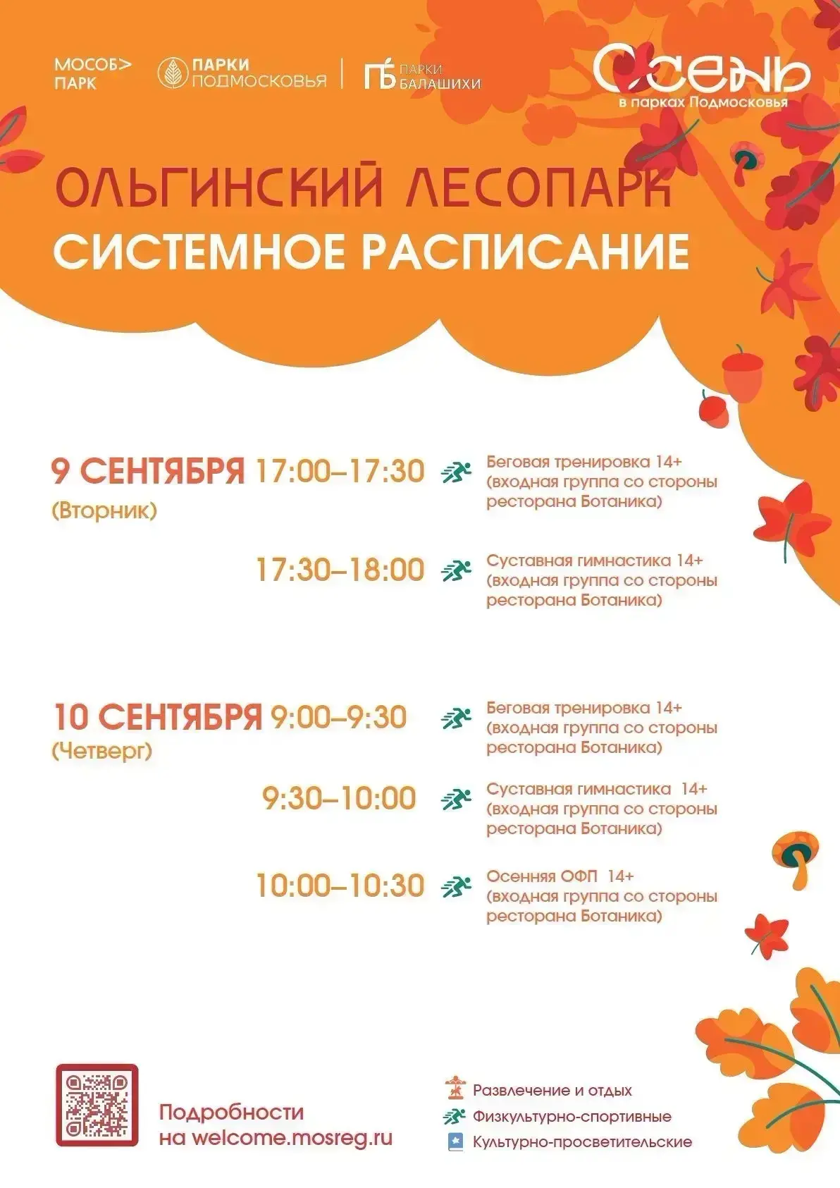 #Ольгинский_лес