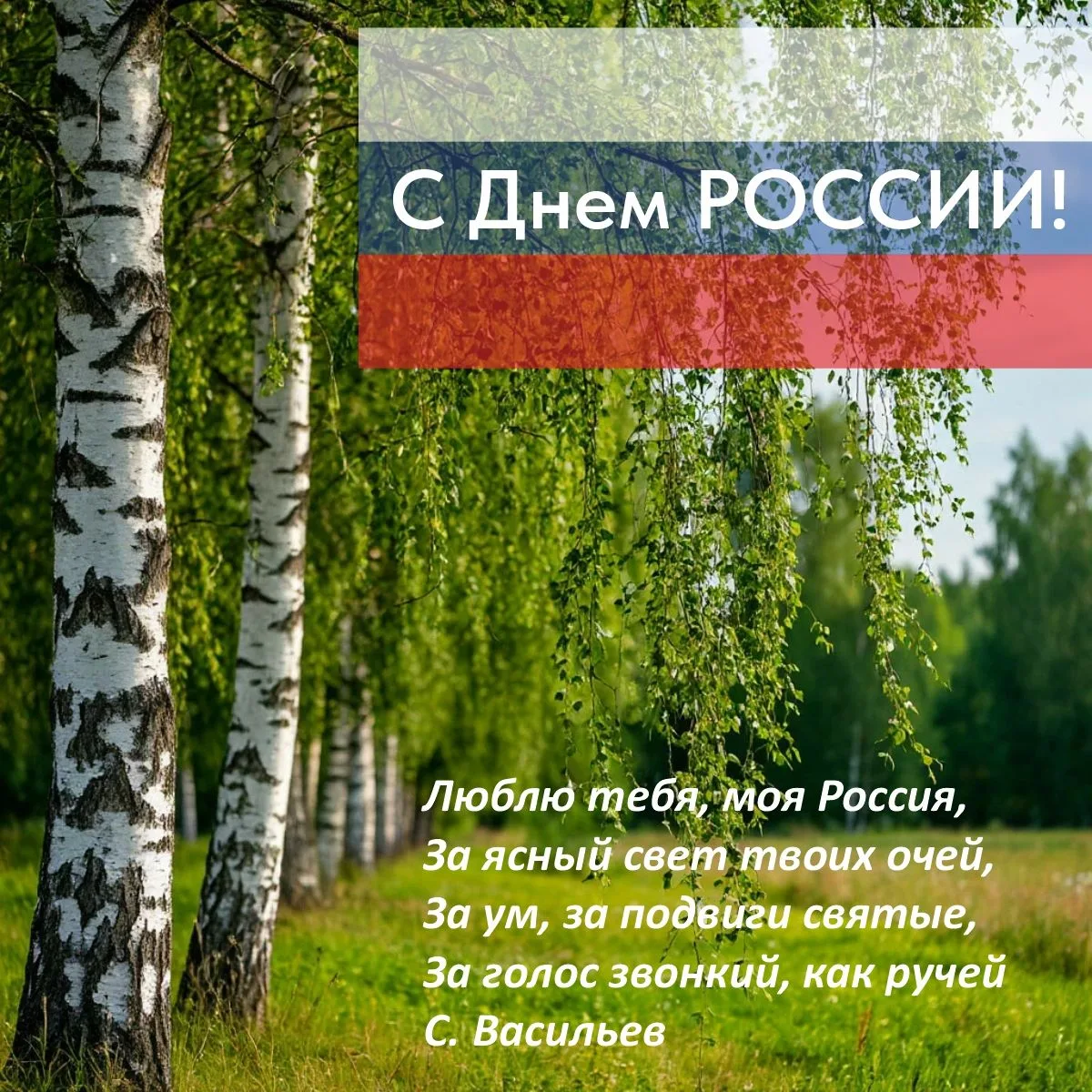 Поздравляем с Днем России 🇷🇺