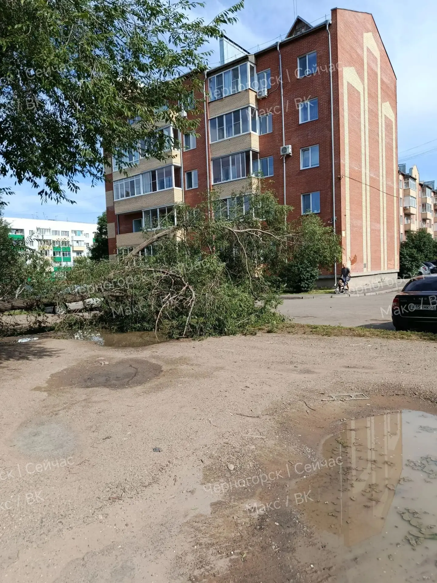 От подписчика:

На улице Генерала Тихонова, 15, дерево уже неделю лежит на парковке, ЖКО сказали эти