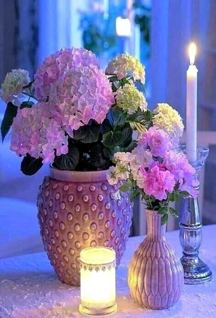 Претензий к жизни не имею, за всё её благодарю! 🙏