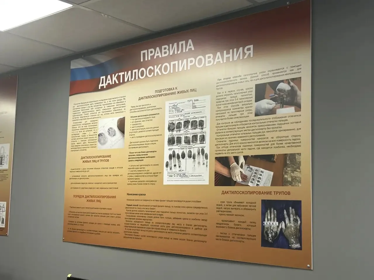 🕵️‍♂️ Следы, которые невозможно скрыть…  Наши будущие юристы осваивают один из ключевых навыков в ра