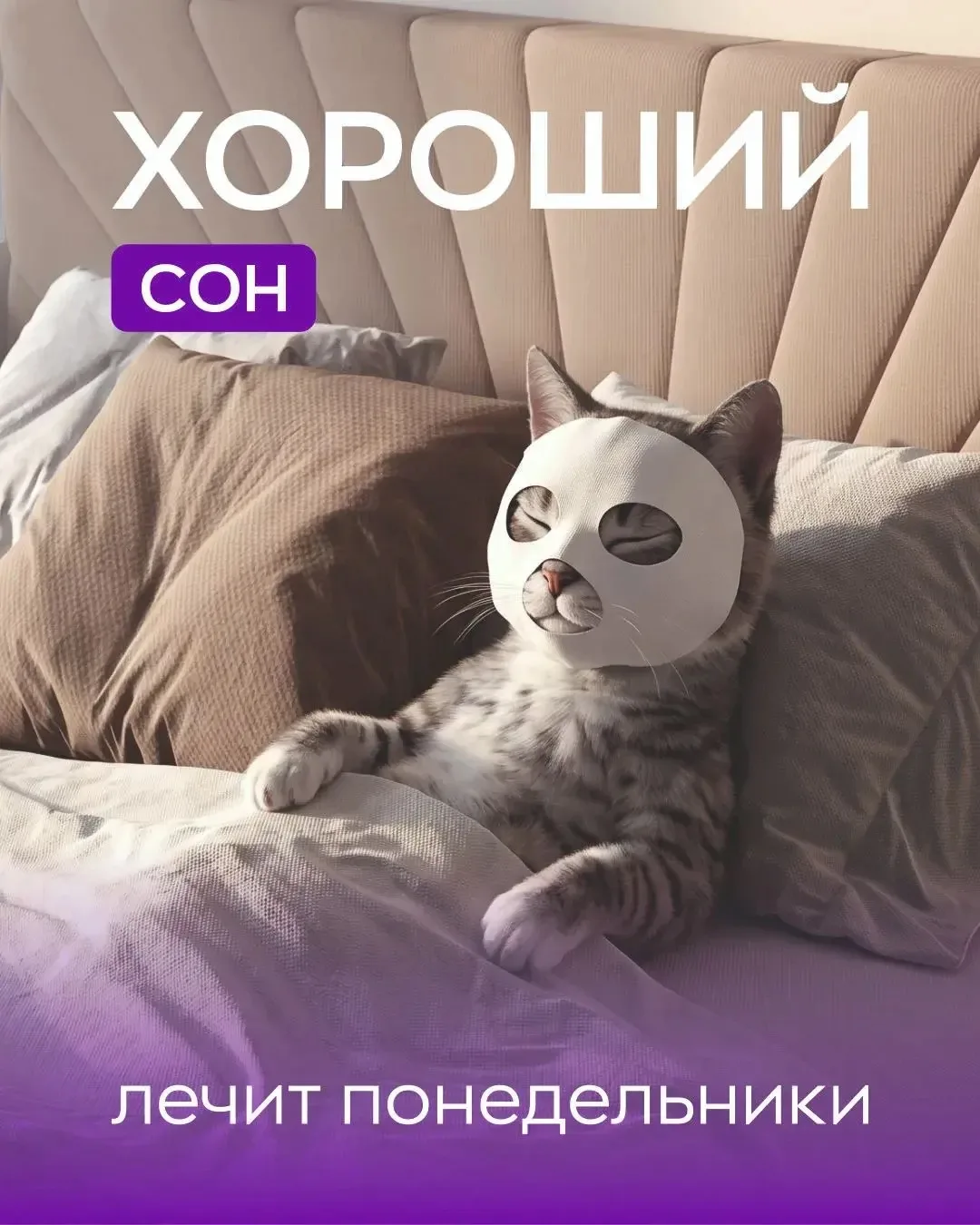 Понедельник — день тяжёлый. Особенно после праздничных выходных. 😴

Но есть хорошая новость: каждый