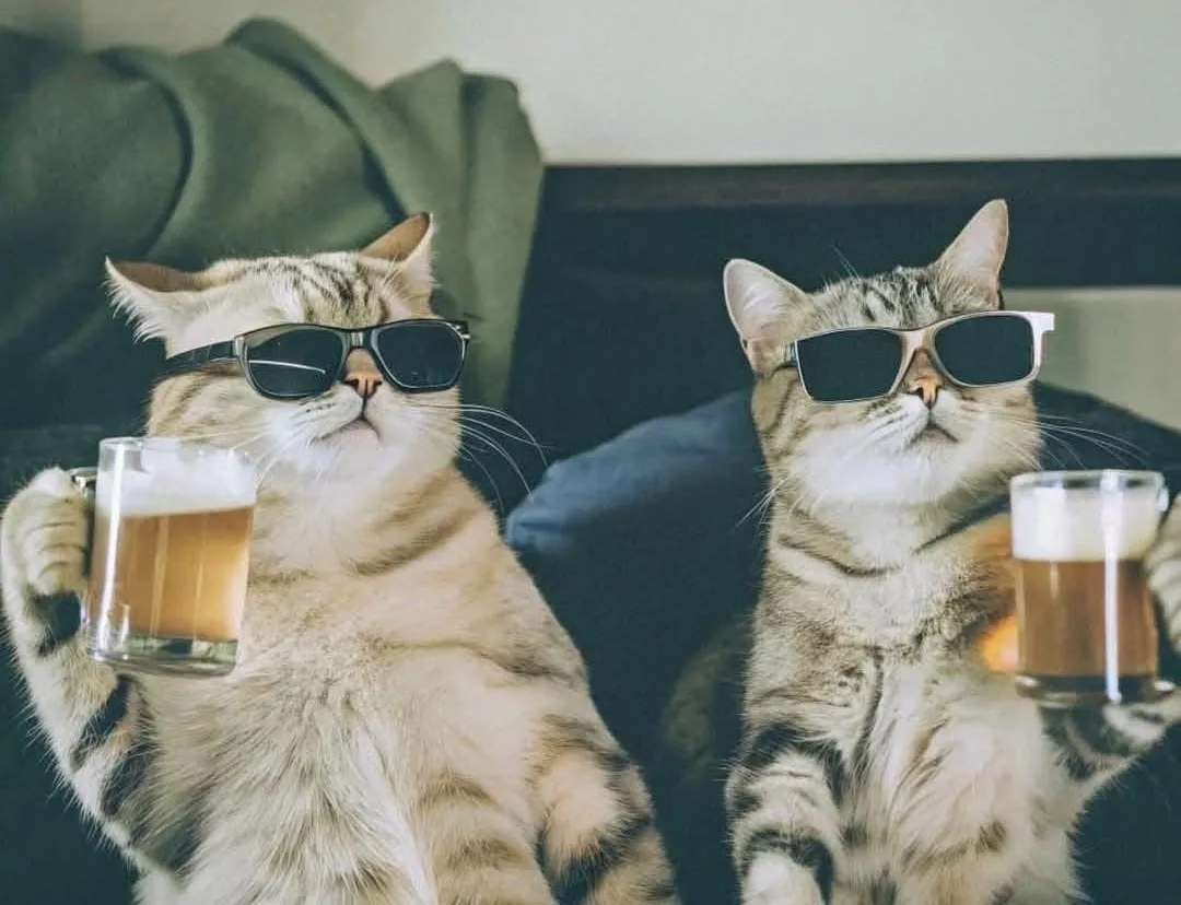 🍺 Безлимитное пиво и сидр за 500₽ в ресторане Бибирево