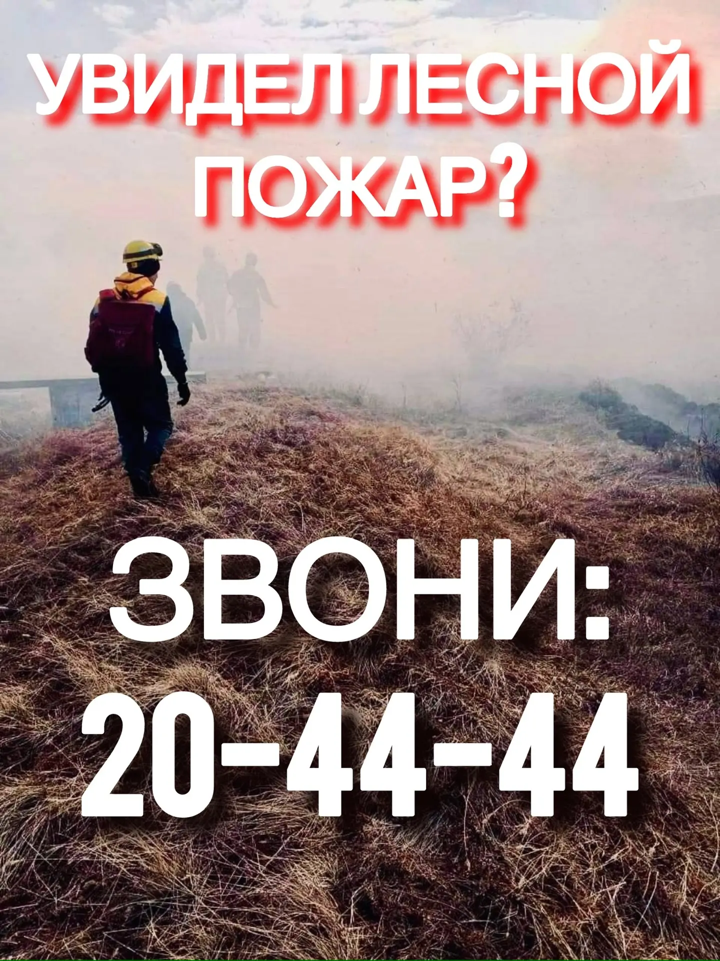 В Бурятии нет лесных пожаров

🟢 За прошедшие сутки в лесном фонде республики пожары не обнаружены.
