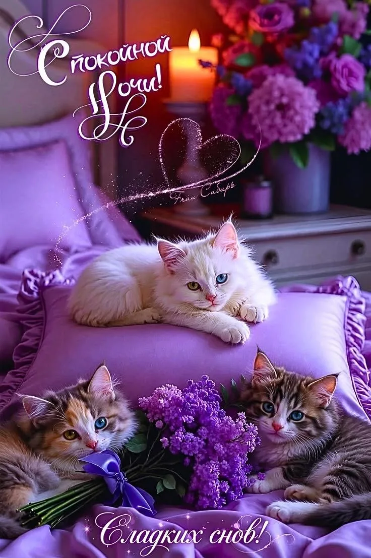 🥰 Оставляйте реакции, если понравилась открытка и делитесь с близкими ❤️

Лучшие Открытки в MAX