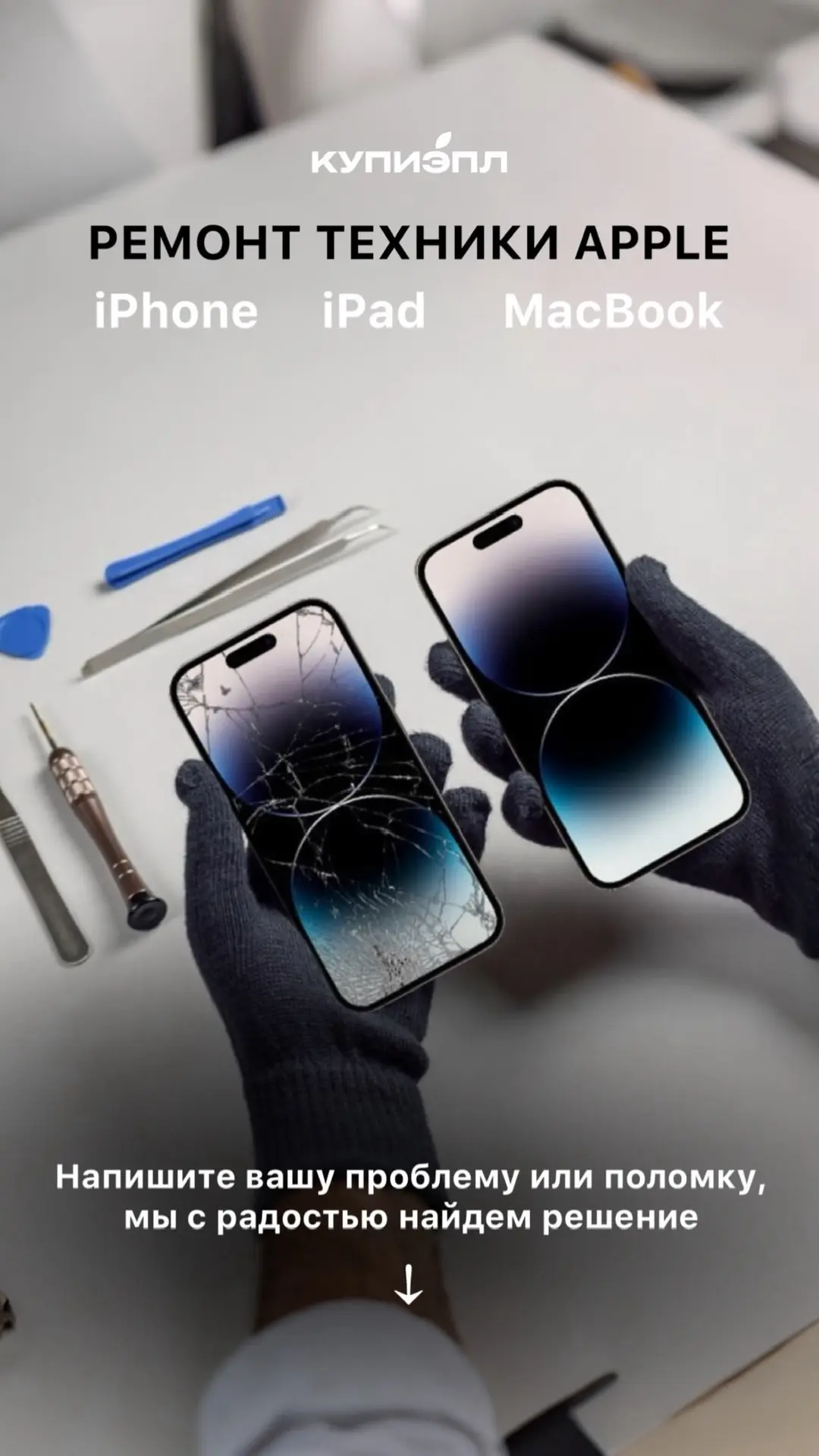 🆕🆕🆕🆕🆕