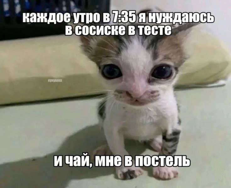 Мем дня