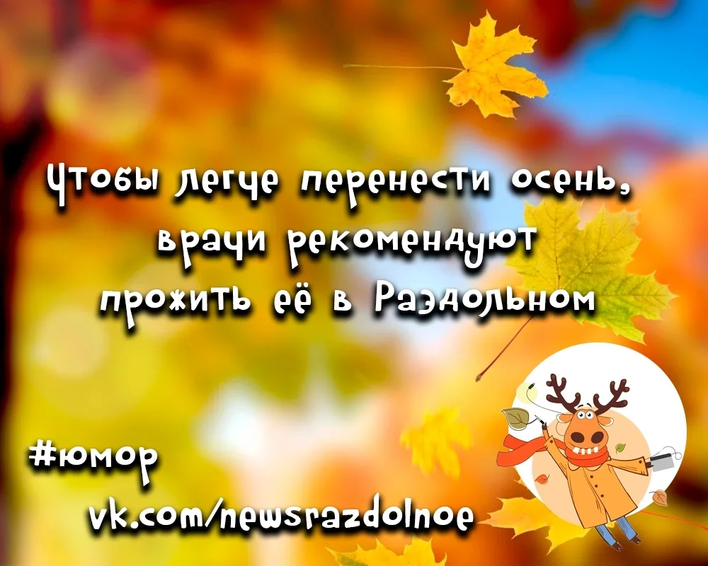 🍂