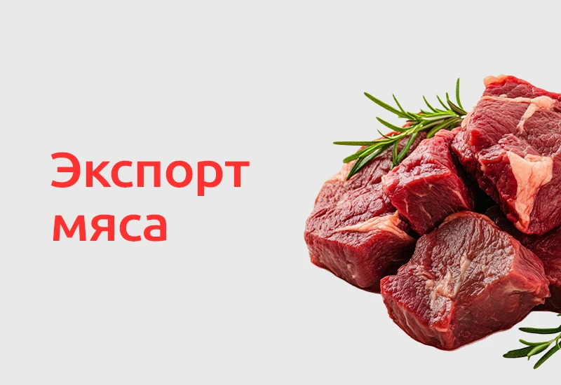 🥩 Российская говядина укрепляет позиции на внешних рынках. Россельхознадзор сообщил об...