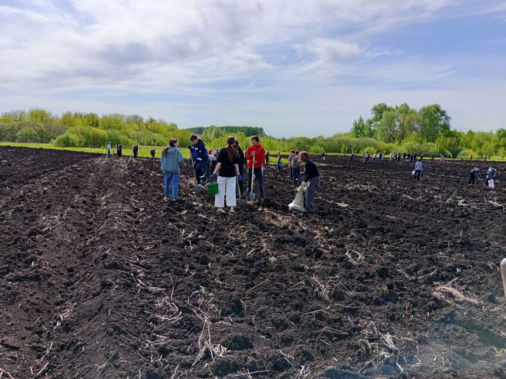 🚜 Наш субботник: 6–11 классы vs поле картофеля 🥔