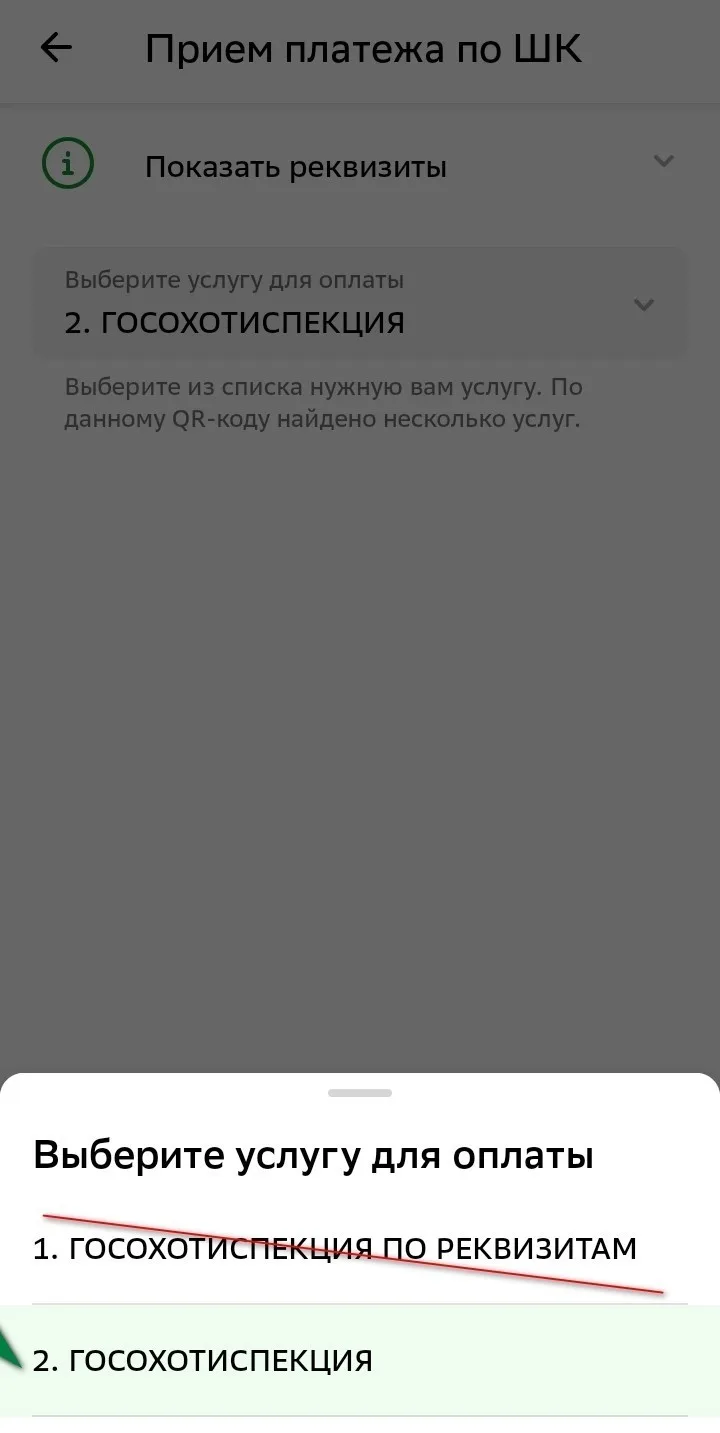 Во Владимирской области с 05.07.2026 началась выдача разрешений на добычу пернатой дичи с ловчими пт