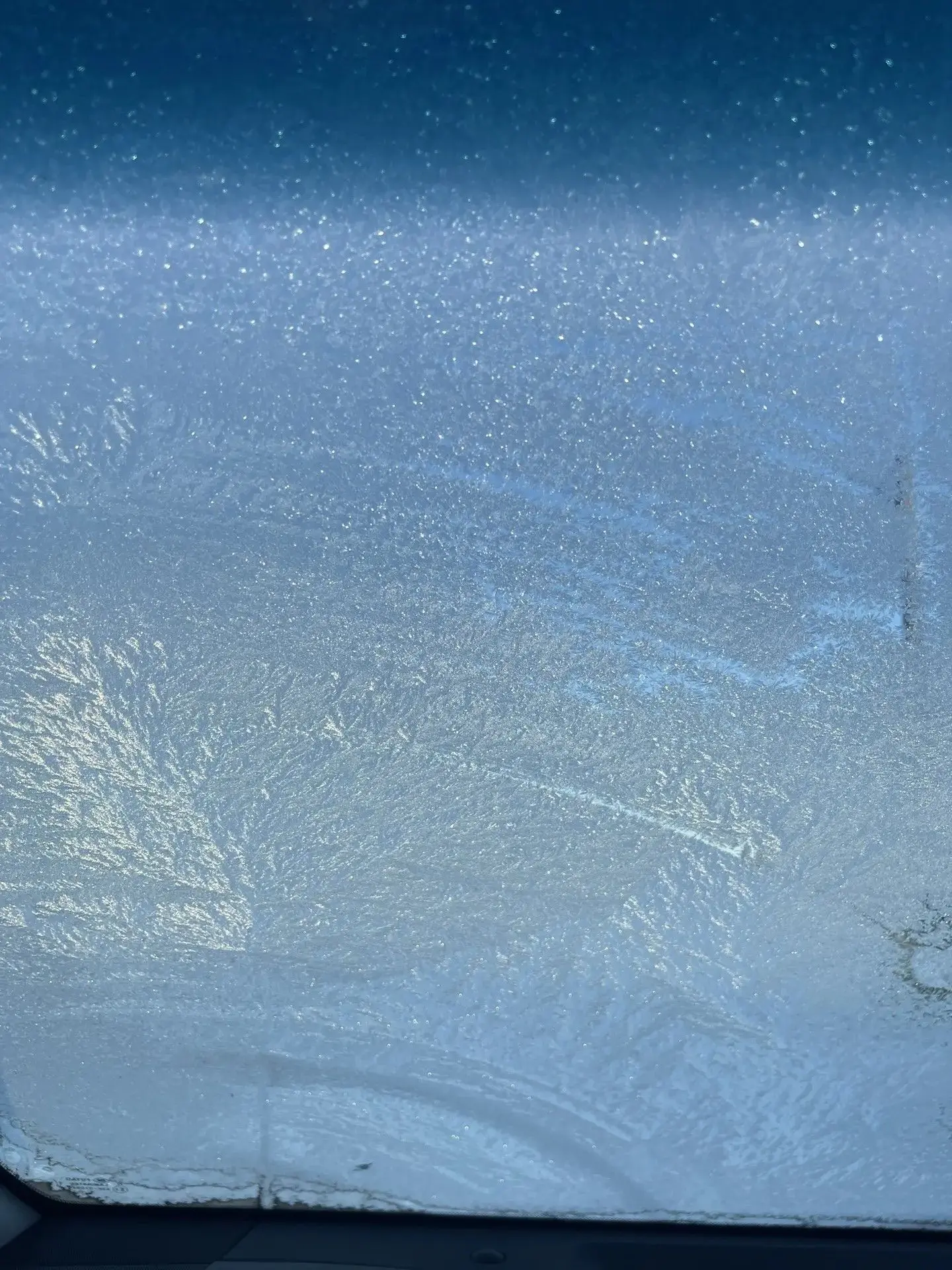 🥶 Первые заморозки добрались до Алтайского края