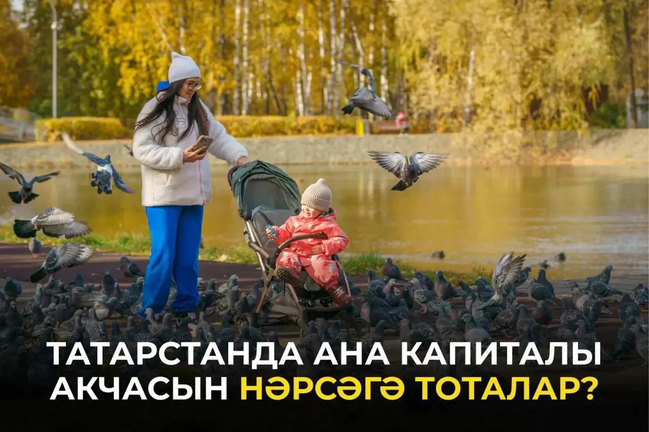 Дәүләт ярдәмен куллануның иң популяр юнәлешләренең берсен атадылар: https://tatar-infor...