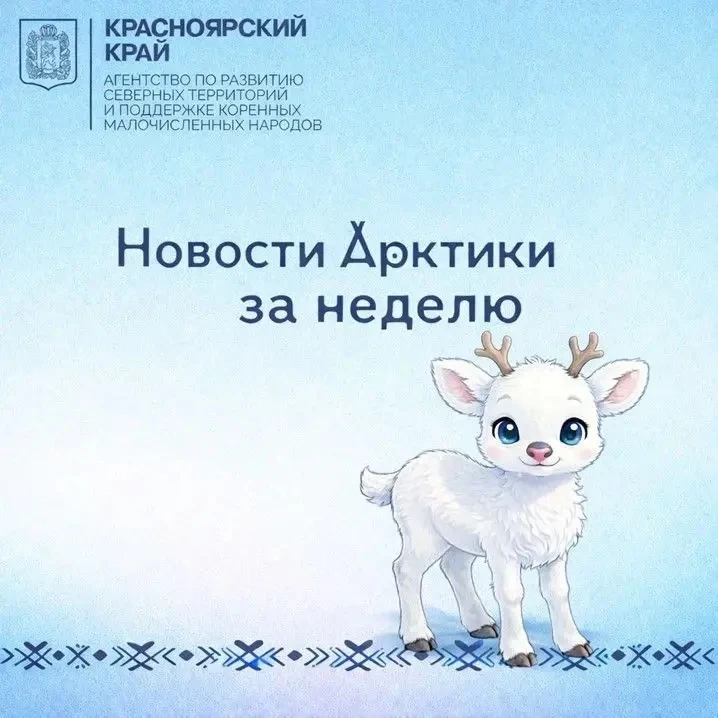 НОВОСТИ АРКТИКИ за неделю ❄️