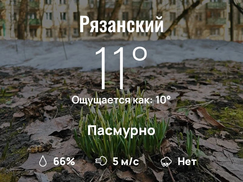Что с погодой в Рязанском?