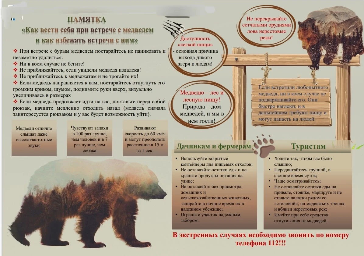 Внимание! В Тайшетском