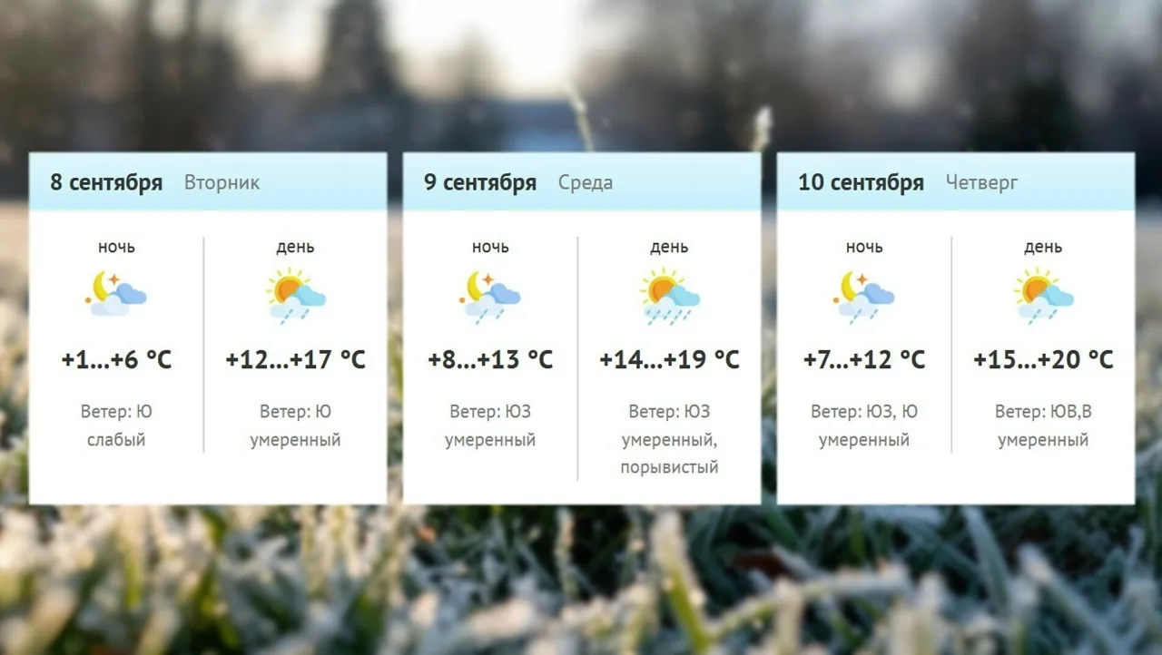 Заморозки до -2°C ожидаются в Карелии в ночь на 8 сентября