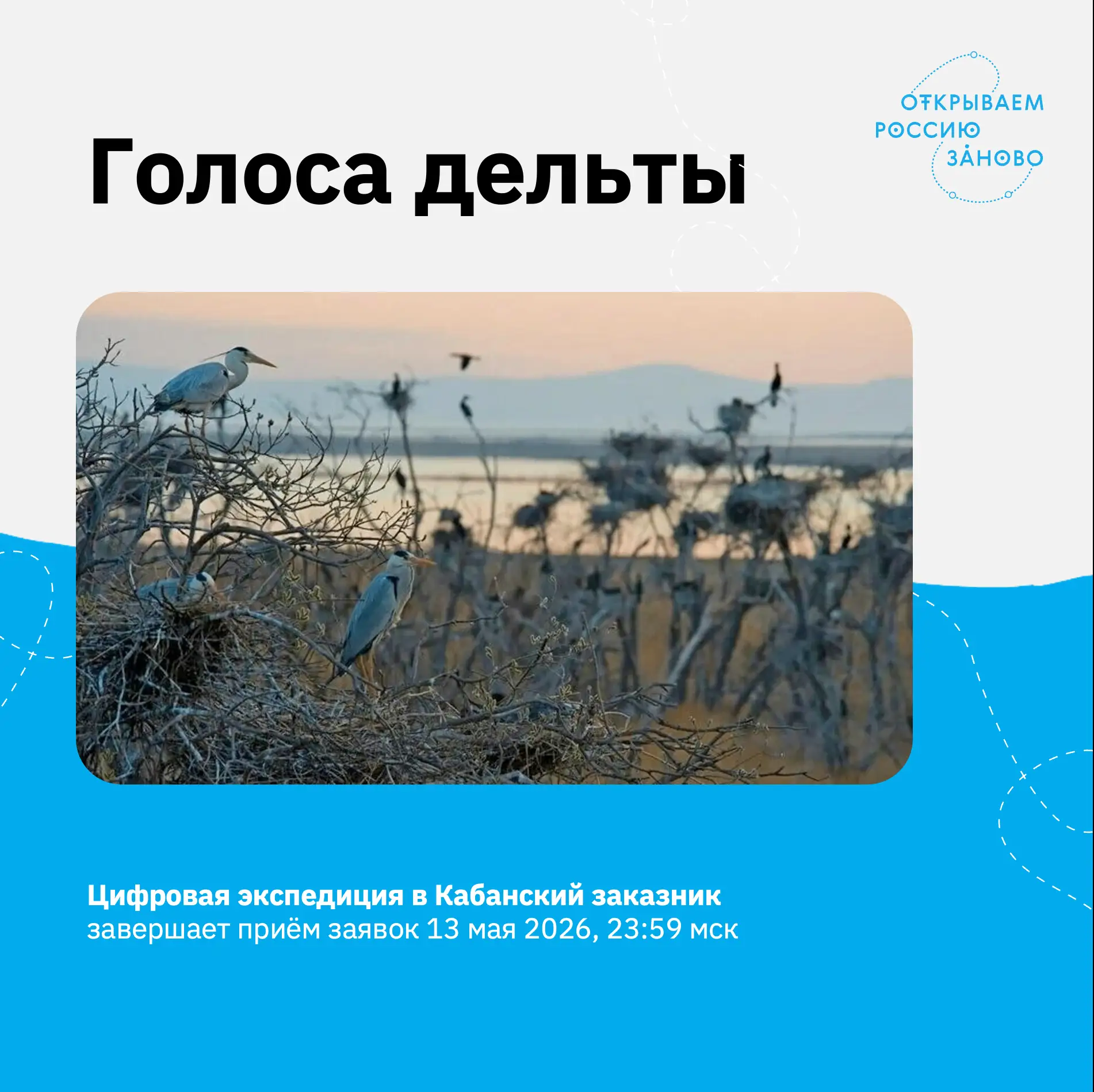 Голоса дельты: цифровая экспедиция в Кабанский заказник завершит приём заявок сегодня