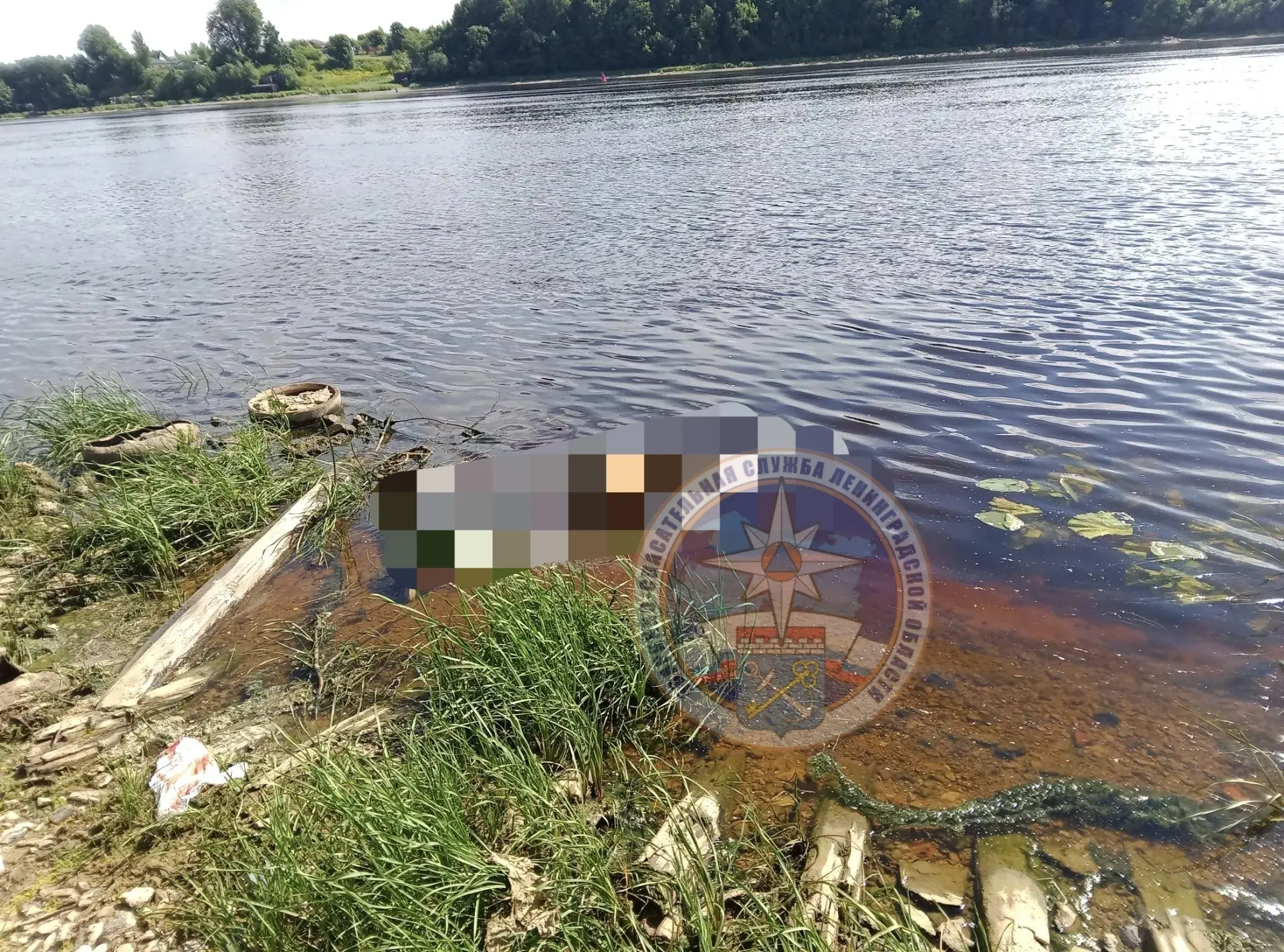 Спасатели провели работы на реке Волхов 

14 июня в аварийно-спасательную службу поступило сообщение
