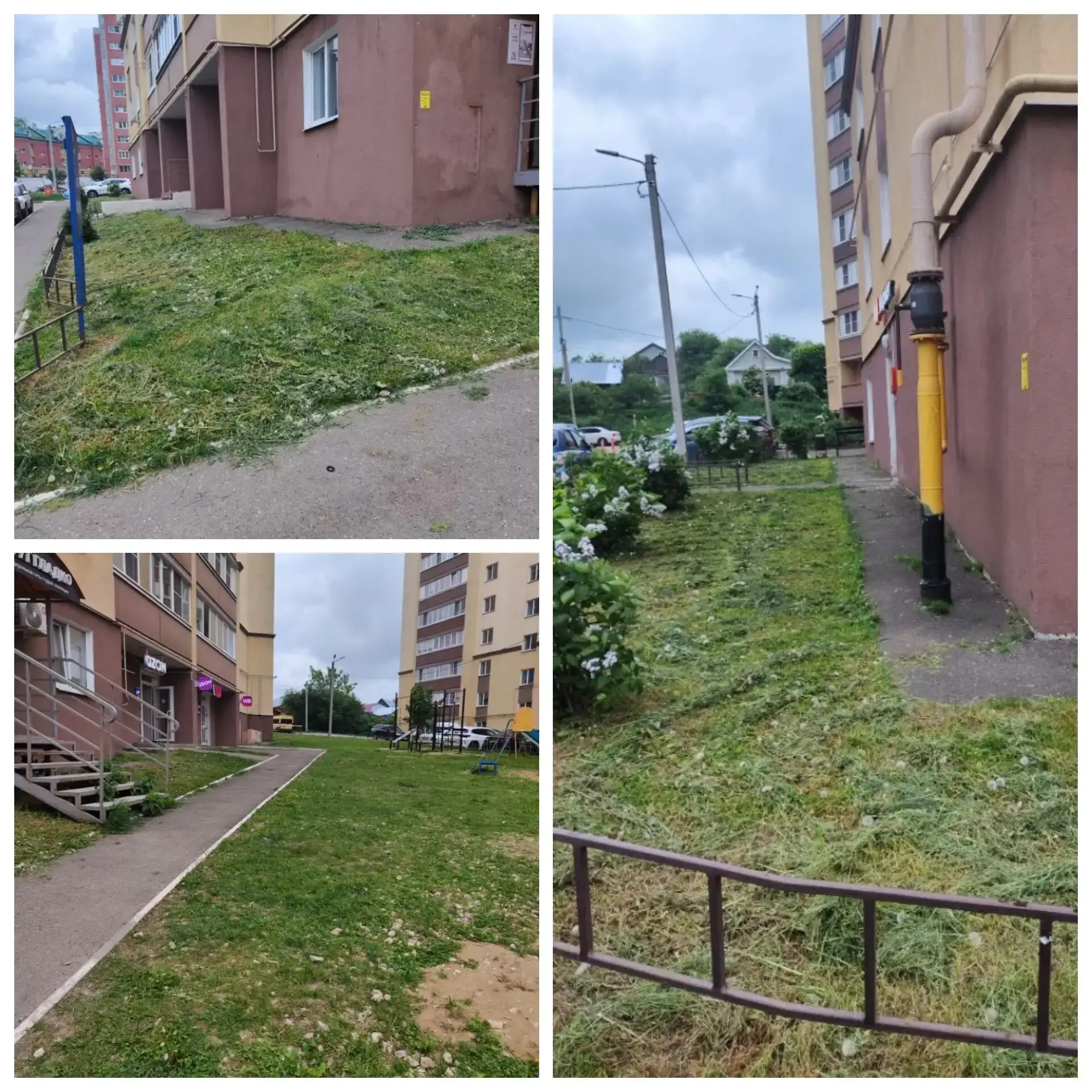 🌱 Проводим очередной покос травы во дворах: