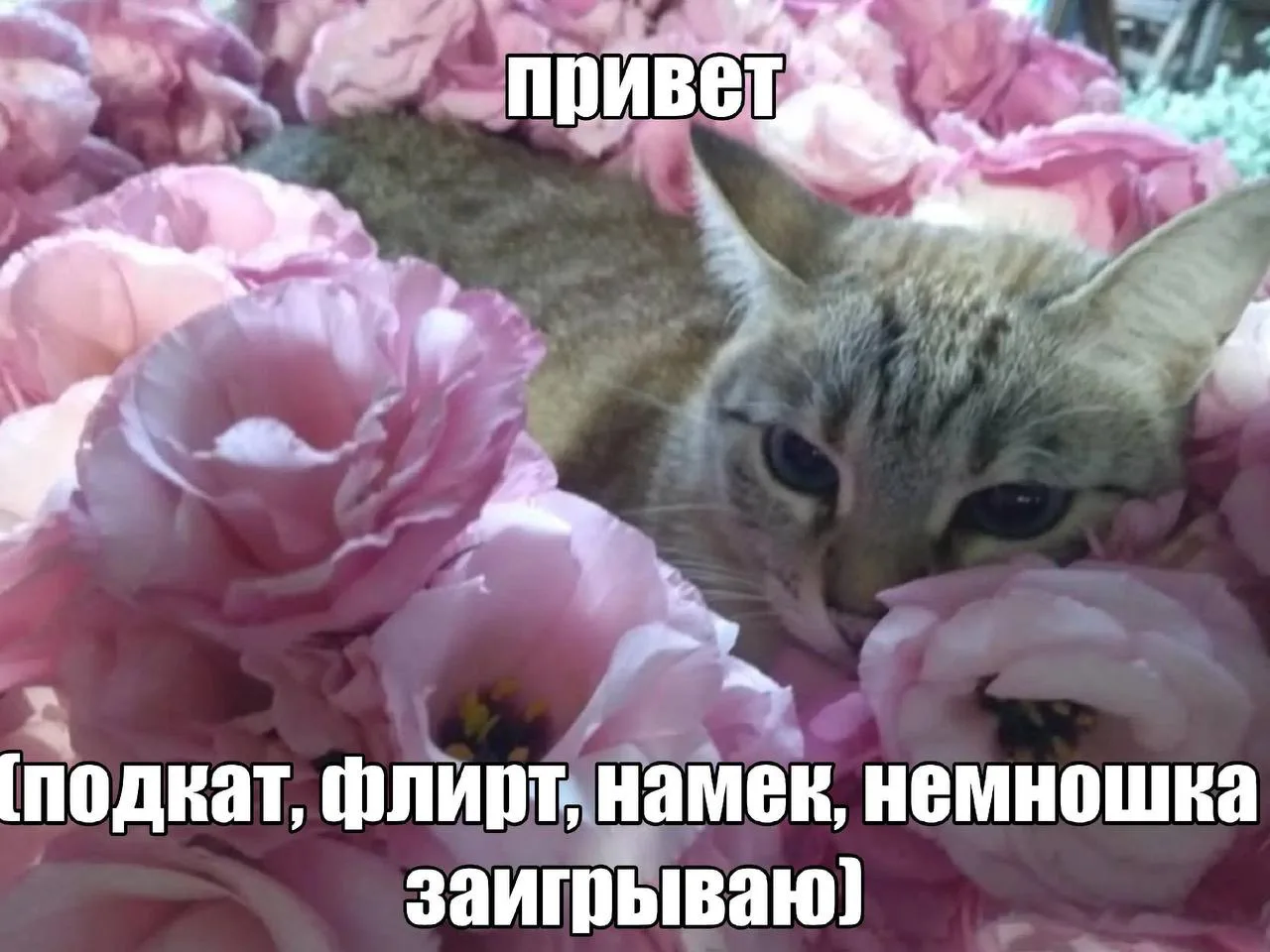 все знаки читаем да??