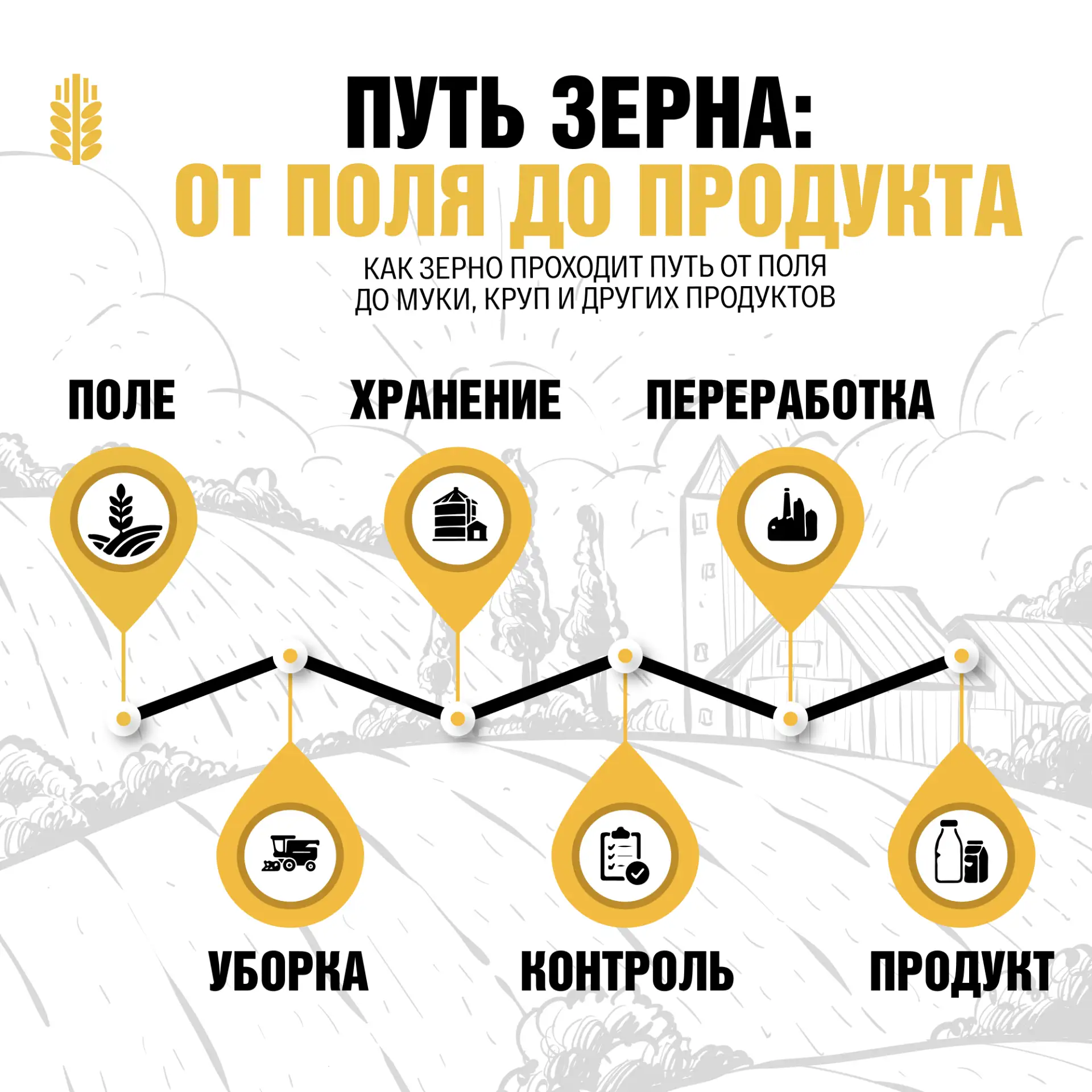 Что происходит с зерном после того, как оно созрело в поле?