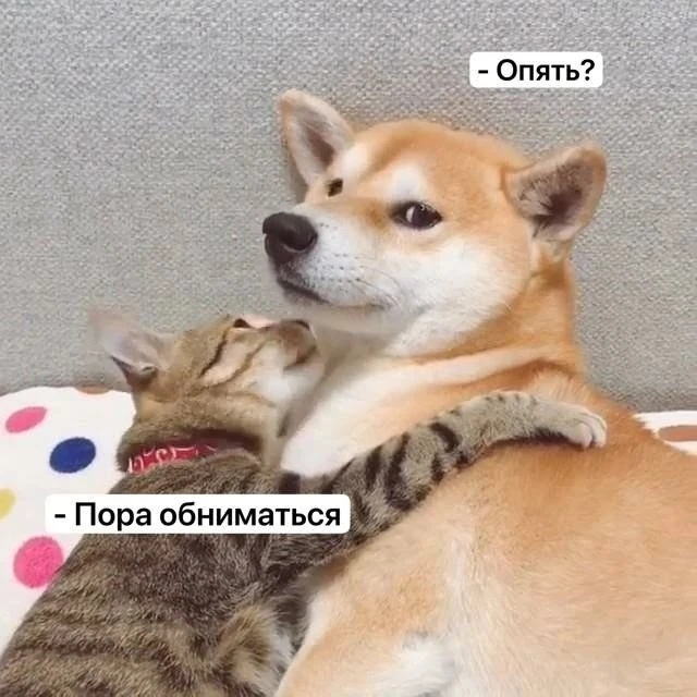 День «Обними свою возлюбленную» отмечается сегодня🥰