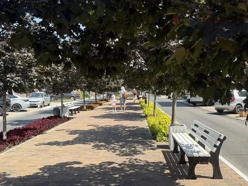 🌳 На улице Терской появились новые лавочки и урны!