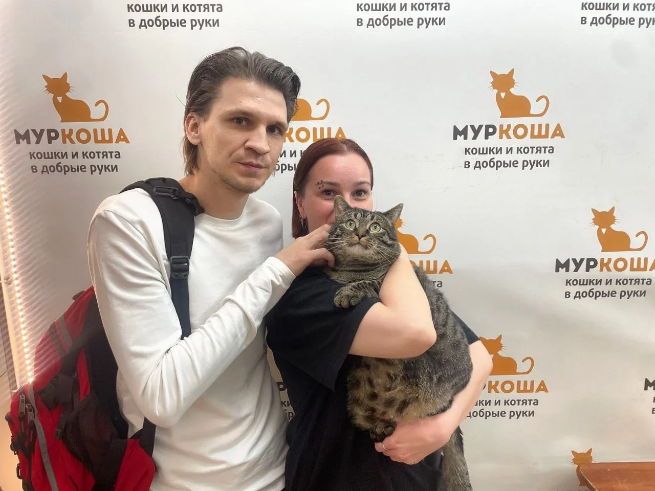 Прекрасный полосатик Кукизавр отправляется домой. 🤗 Будь счастлив, милый, играй, веселись, мурчи по