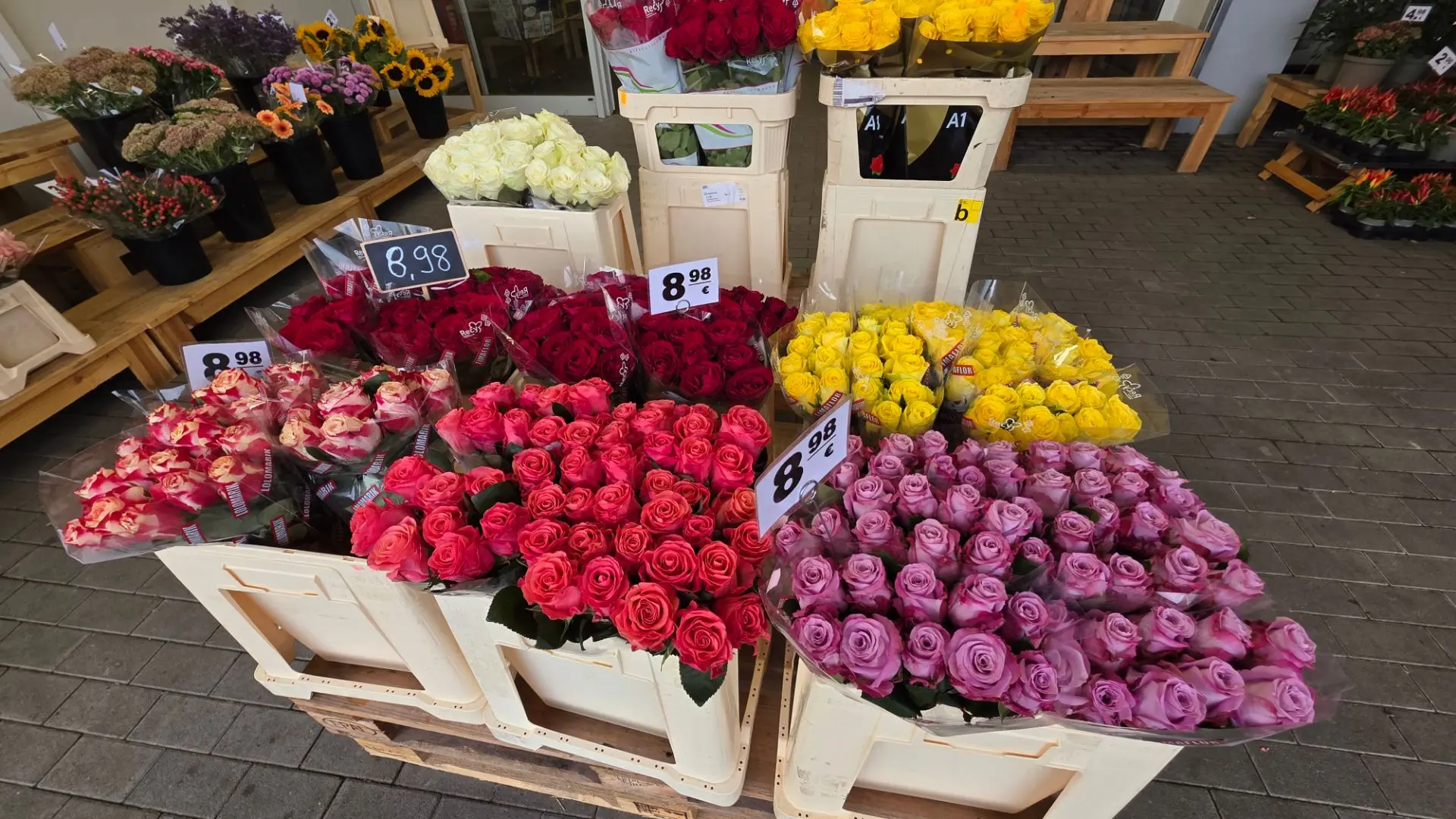 Немного вам цветочков в ленту 🌿 💐 🌹