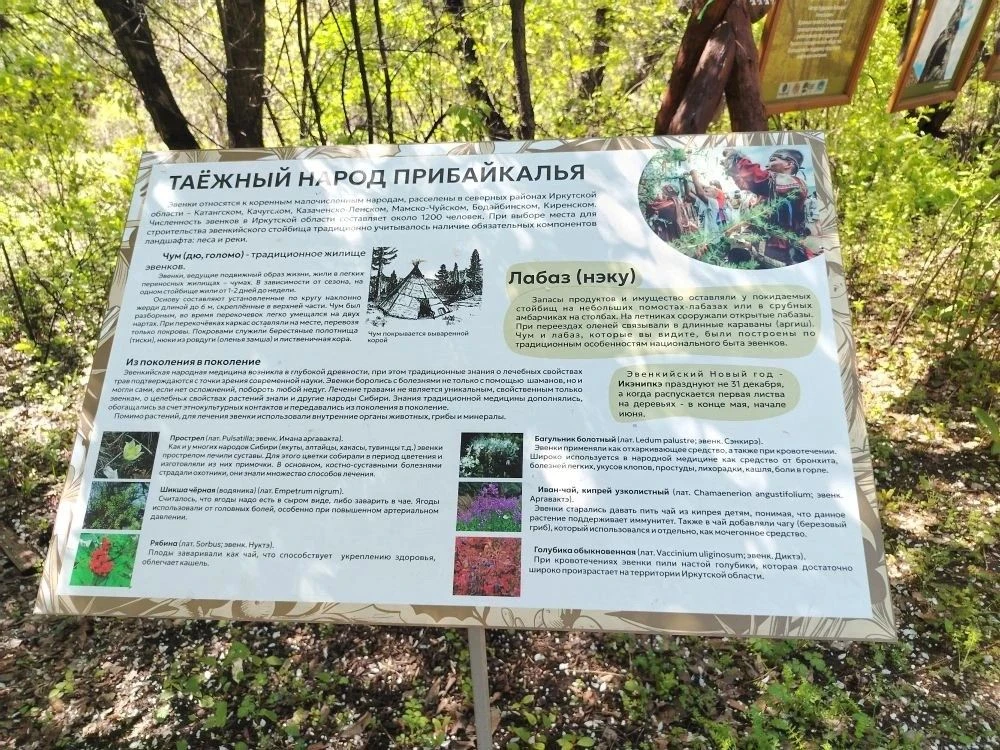 Сегодня обучающиеся нашей школы (2Б, 2Г, 3Б, 3Д и 3Е классов) ездили на экскурсию в "Ботанический са