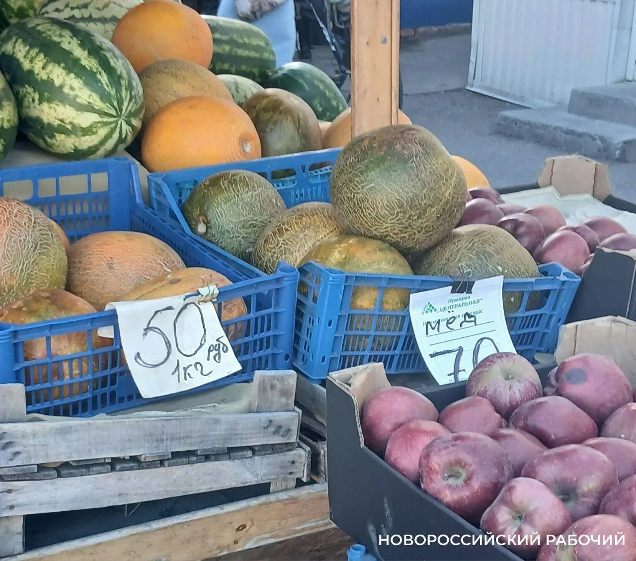 В Новороссийске продавцы «изобретают» новые сорта дынь: «колхозник», «мёд» и «супер-пупер»