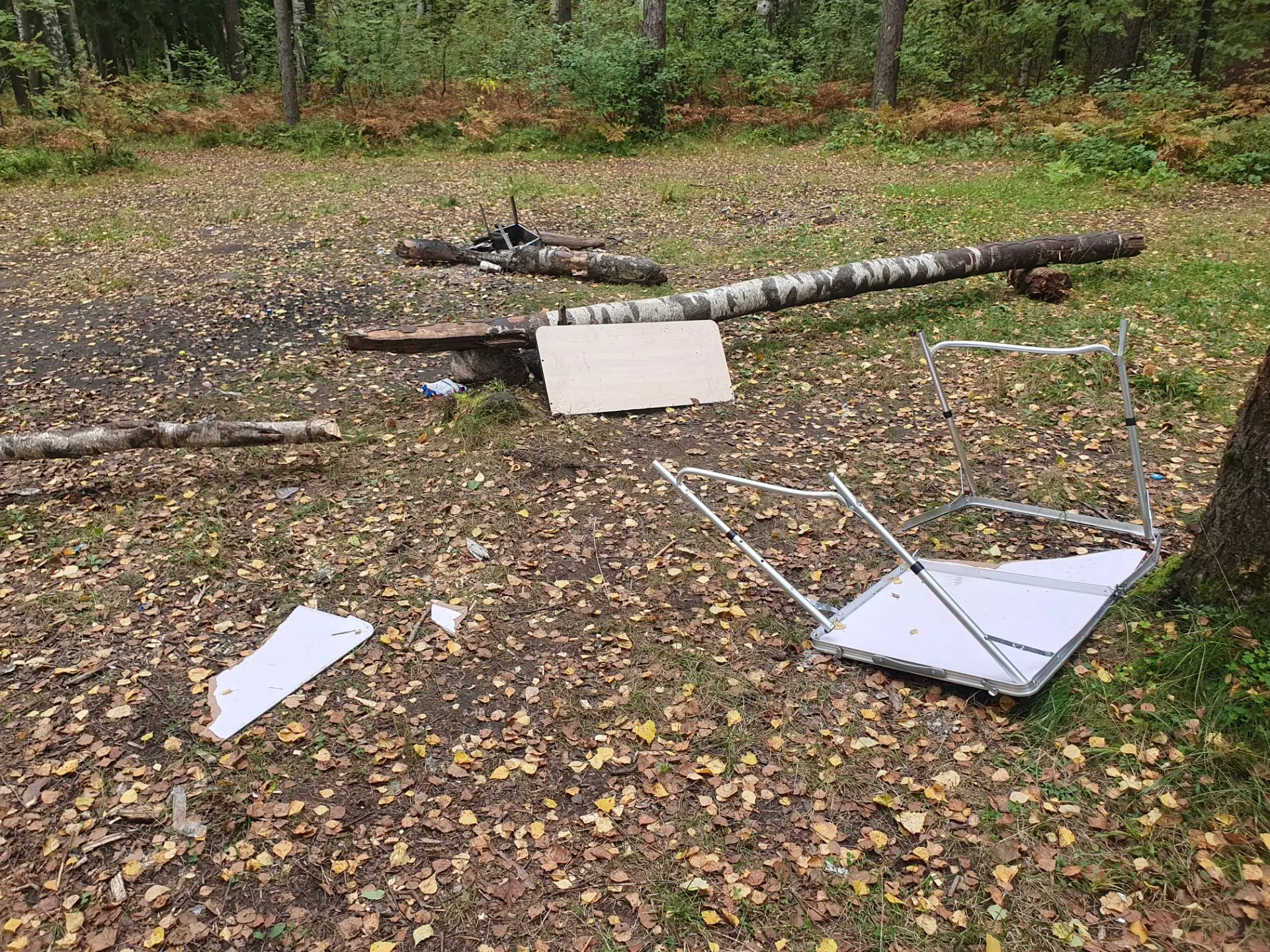 В эти выходные в Сертолово кто-то очень хорошо погулял.